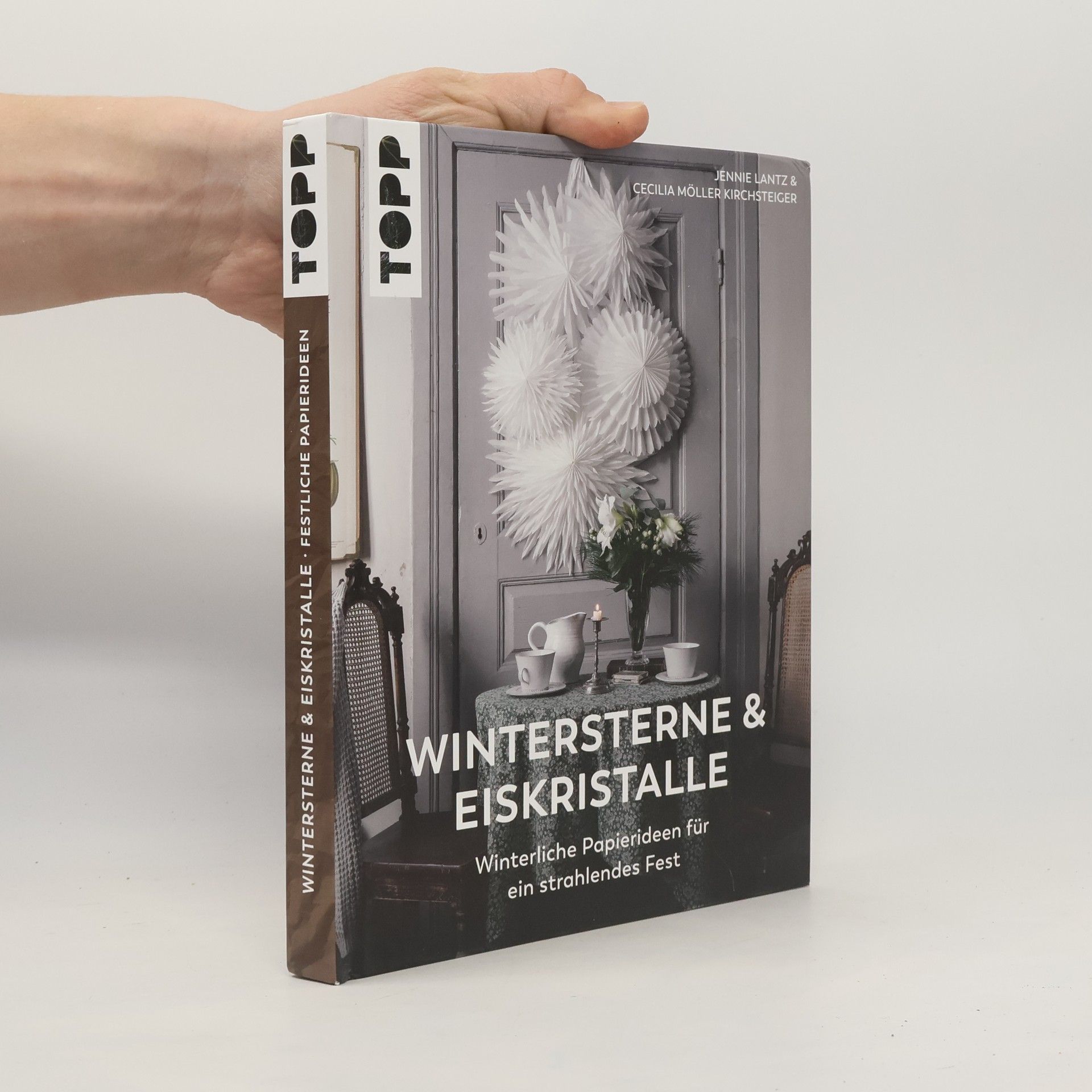 Cecilia Möller Kirchsteiger Wintersterne & Eiskristalle