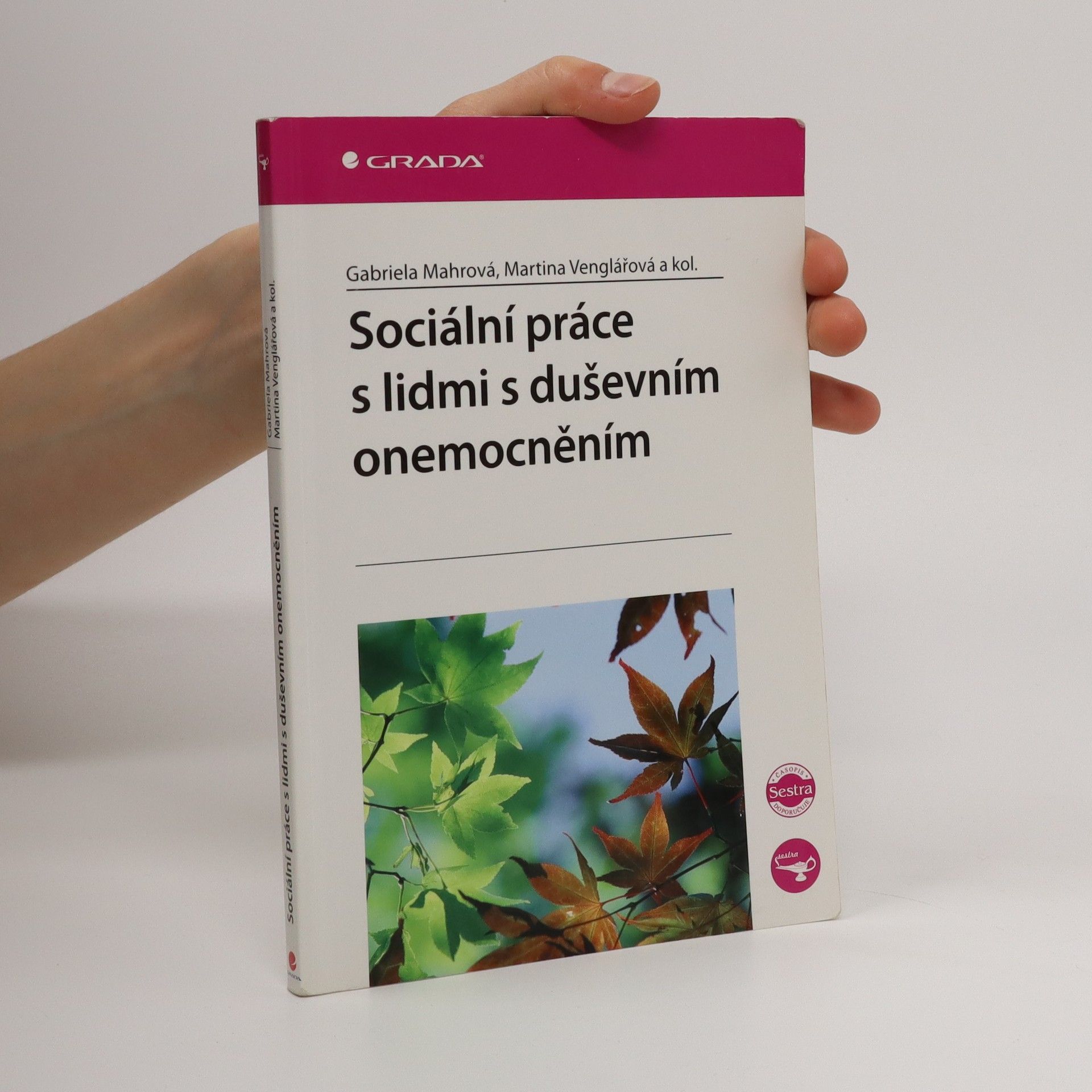 Martina Venglářová Sociální práce s lidmi s duševním onemocněním