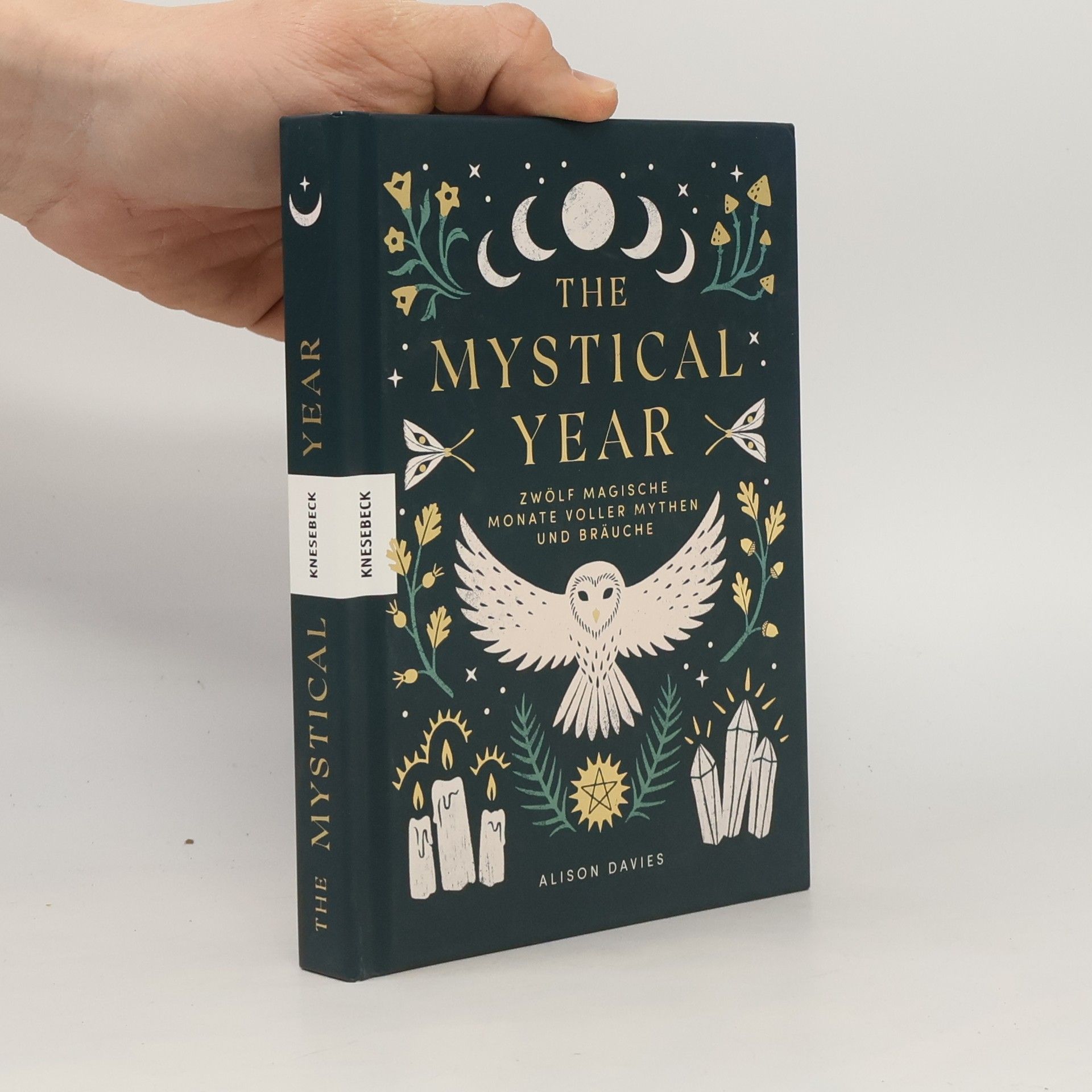 Alison Davies The Mystical Year