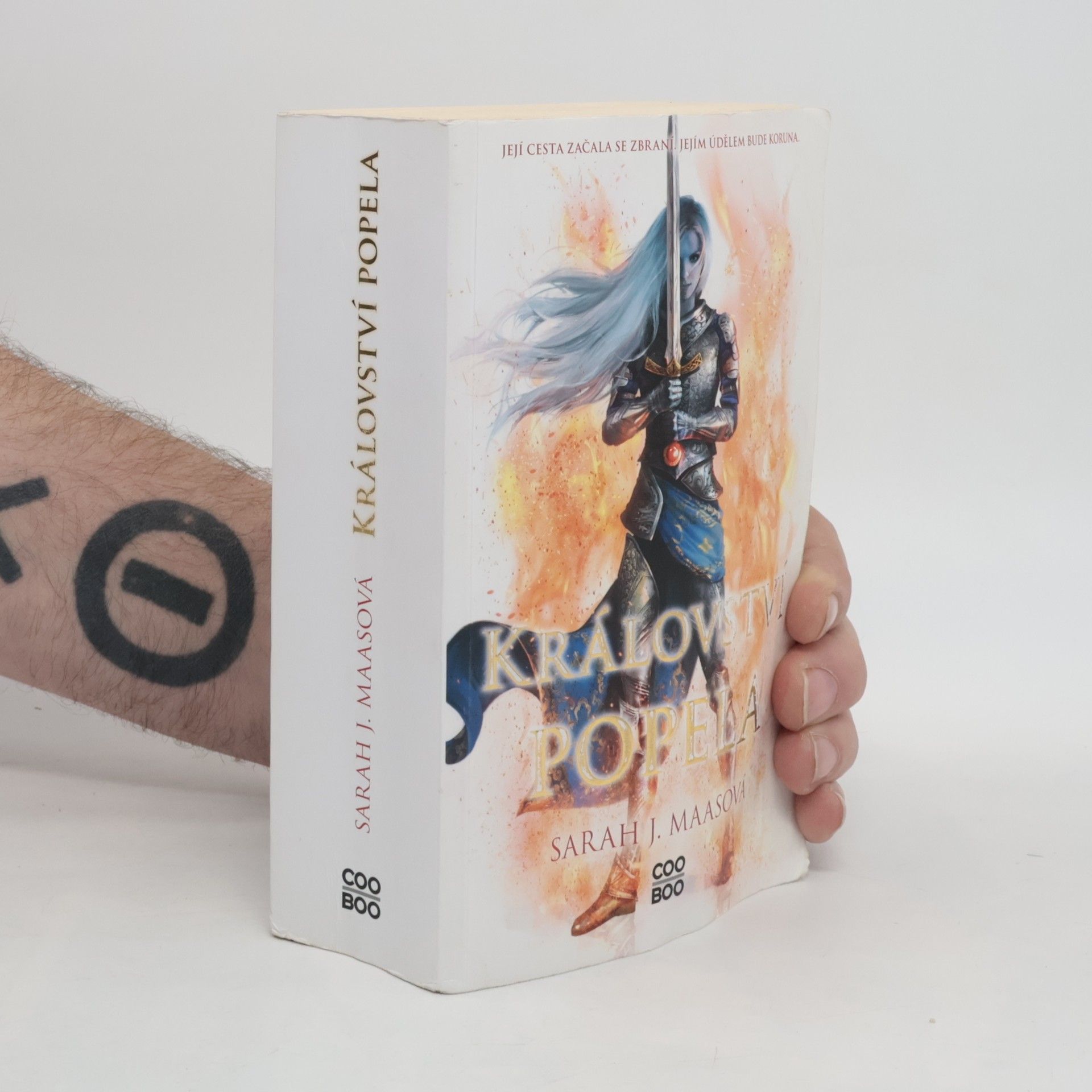 Sarah J. Maas Království popela