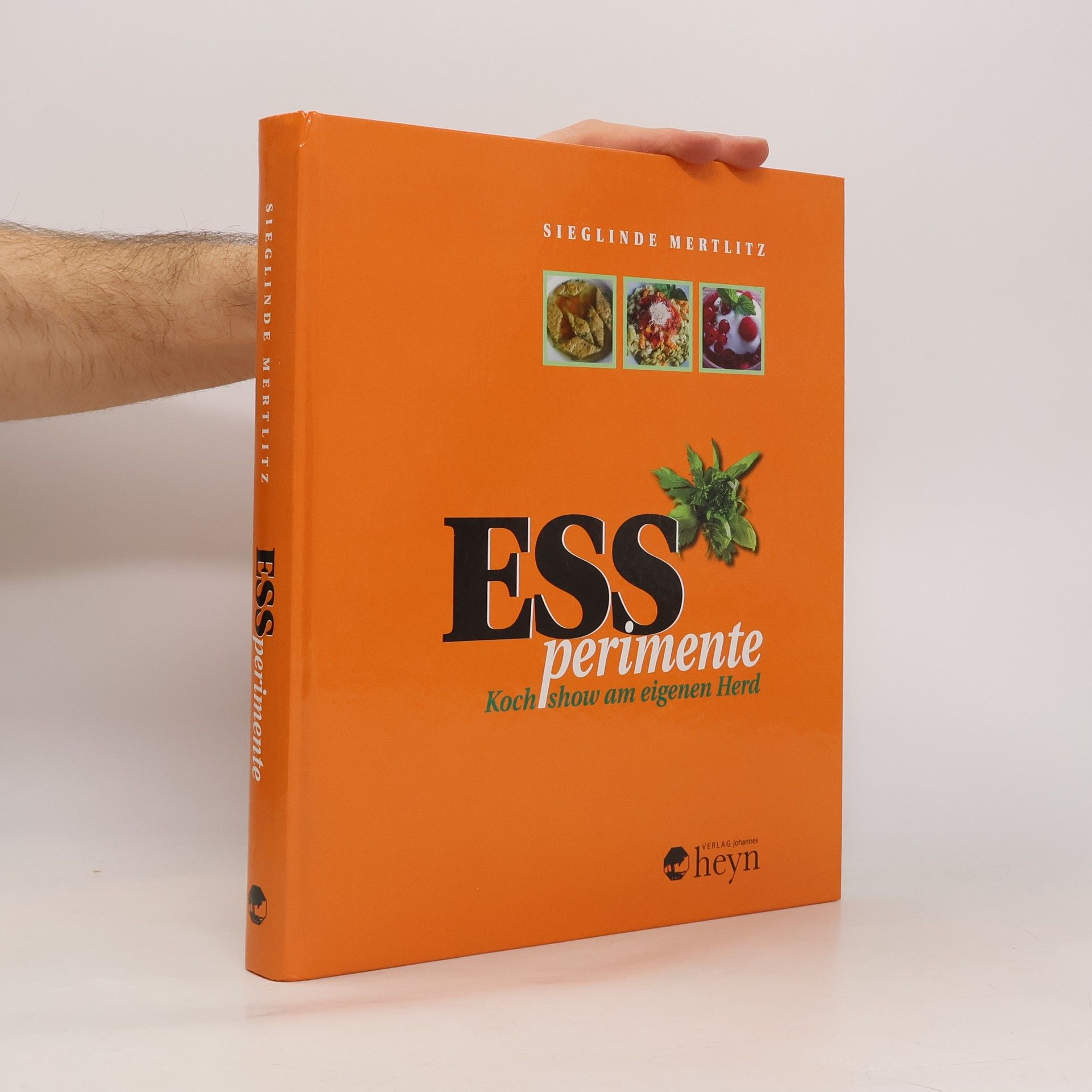 Sieglinde Mertlitz Essperimente 1