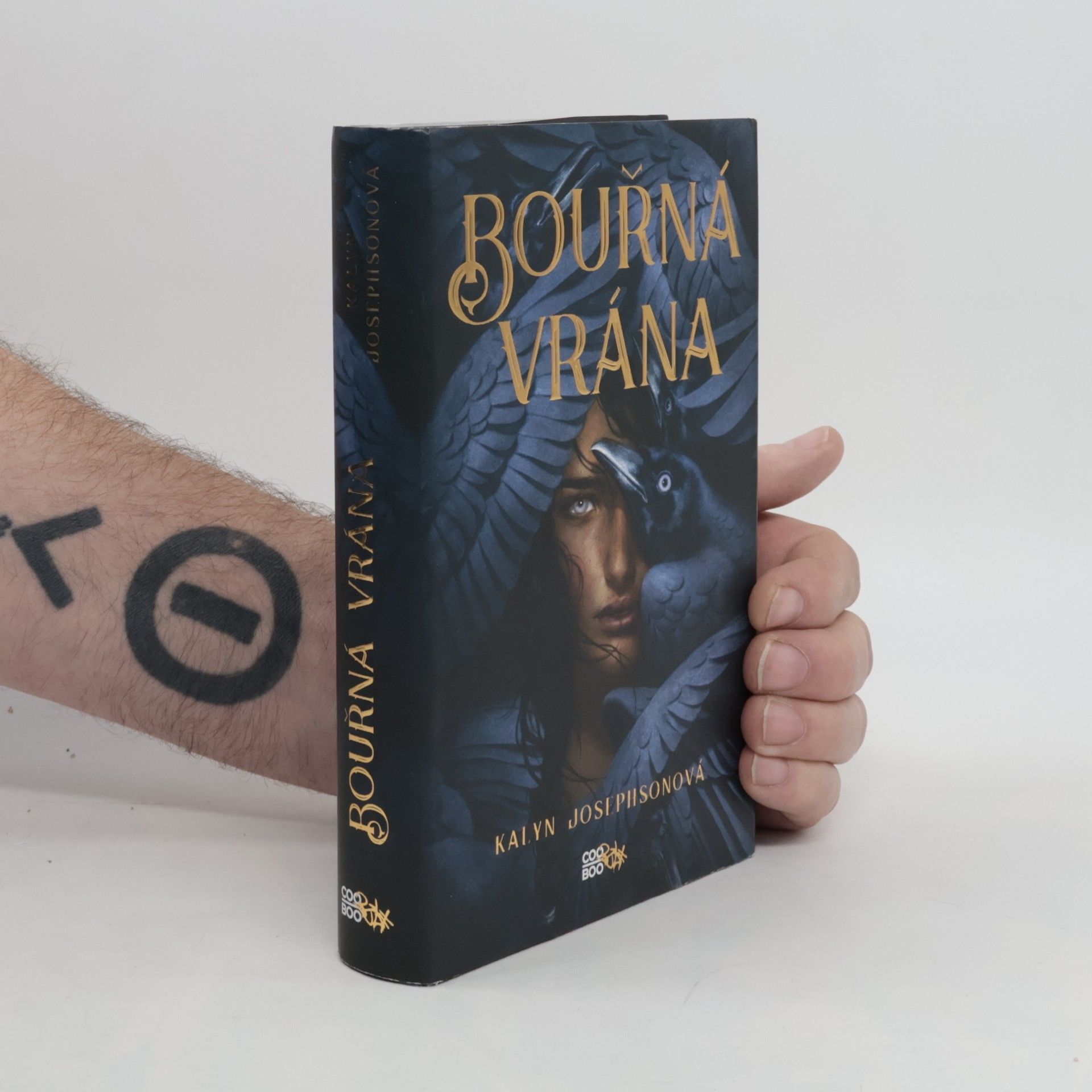 Kalyn Josephson Bouřná vrána