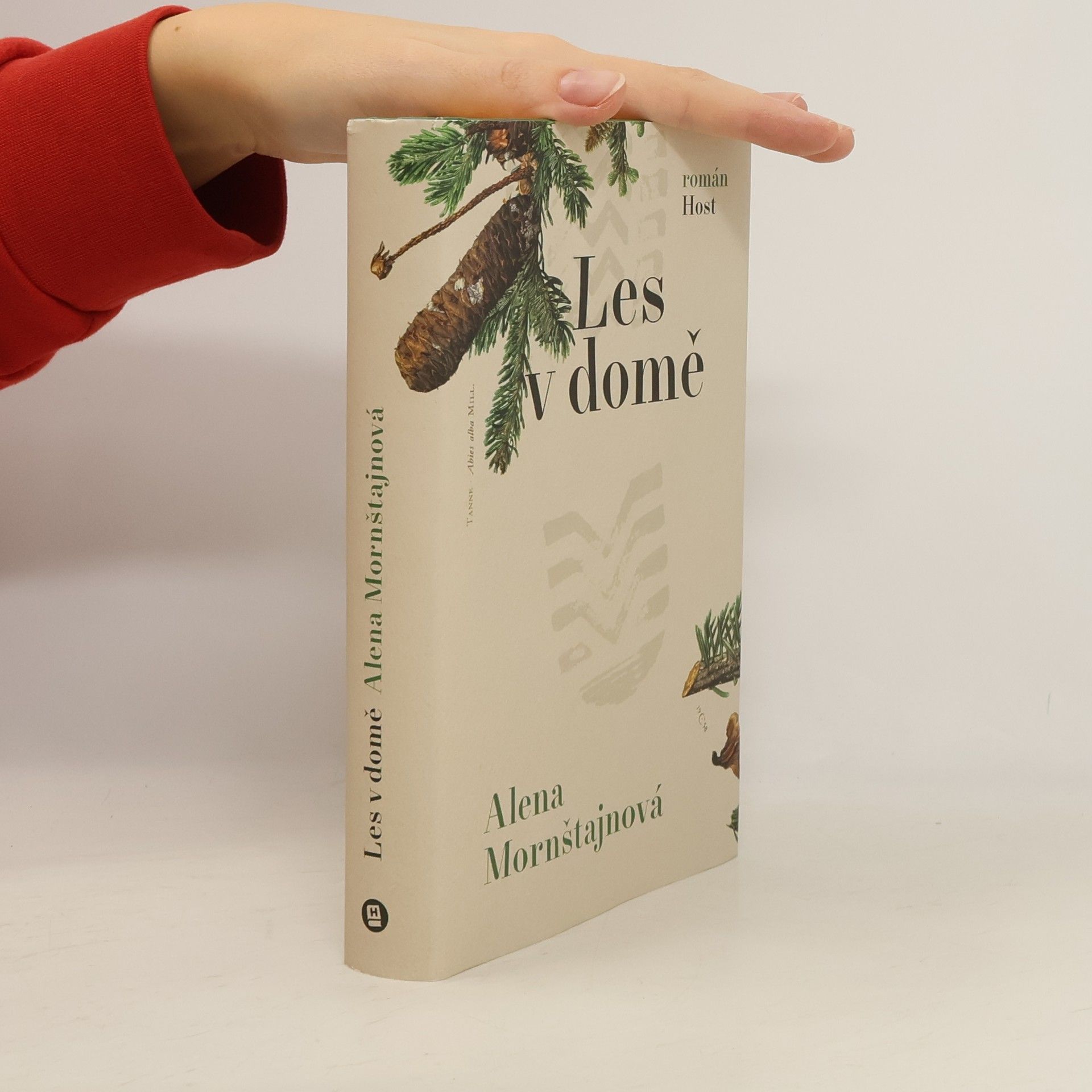 Alena Mornštajnová Les v domě