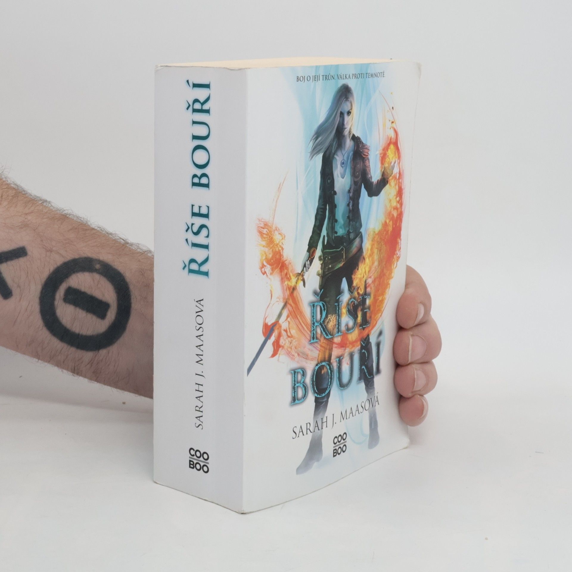Sarah J. Maas Říše bouří