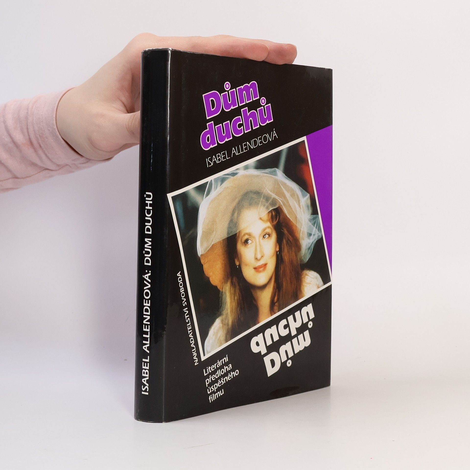 Isabel Allende Dům duchů