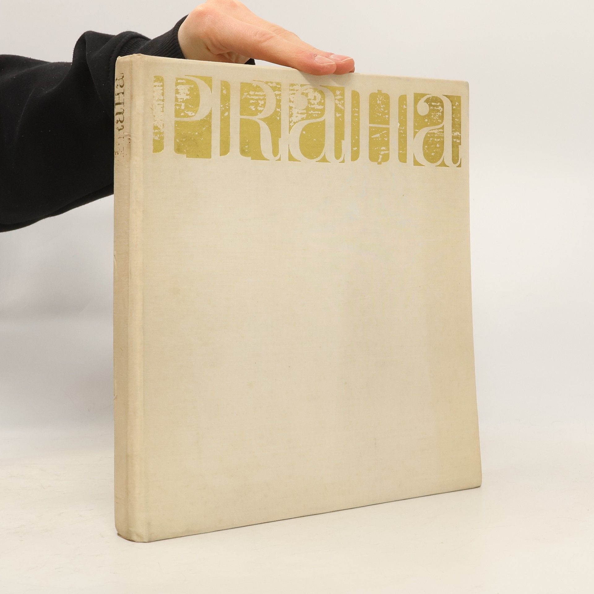 Kolektiv autorů Praha v 80 barevných fotografiích