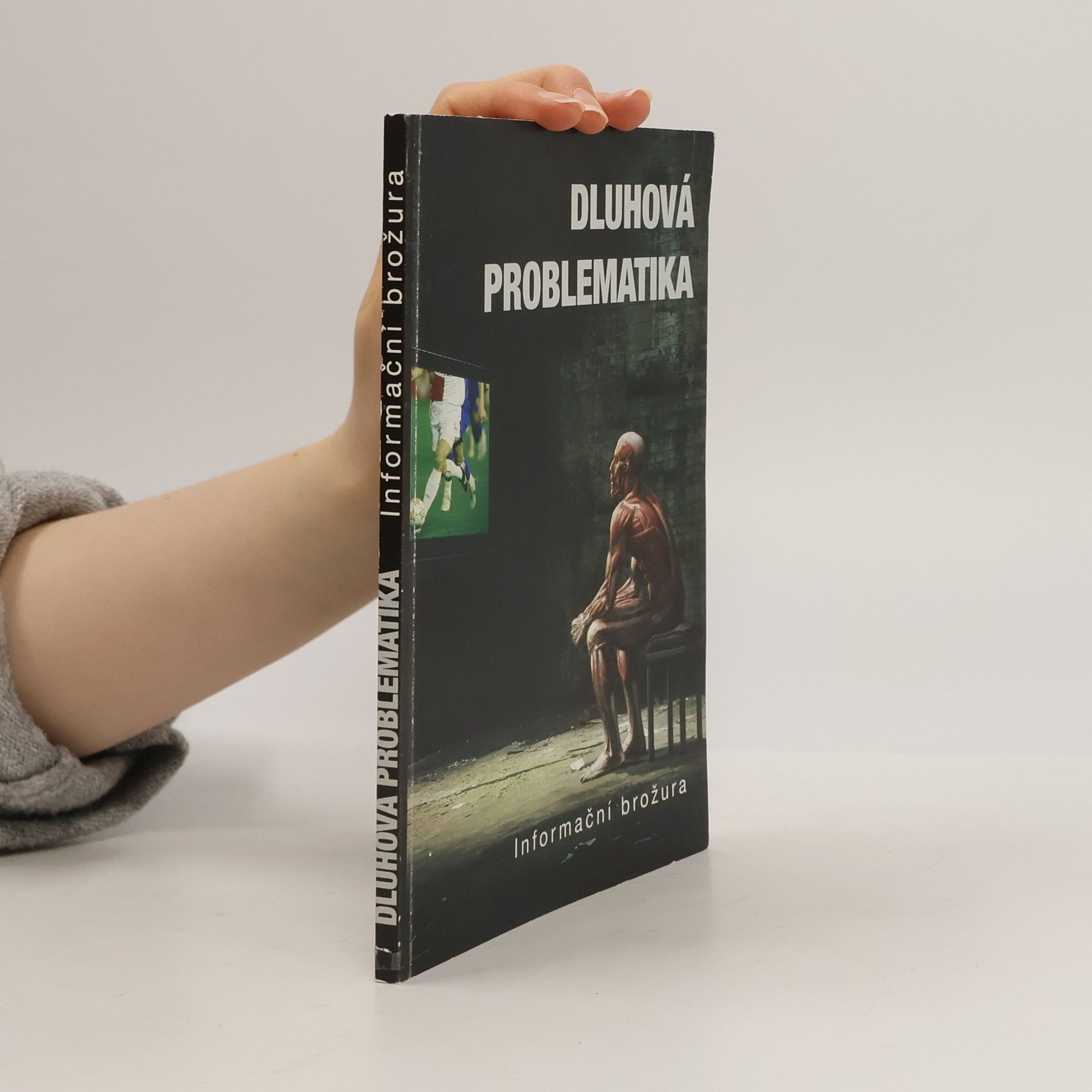 Kolektív autorov Dluhová problematika