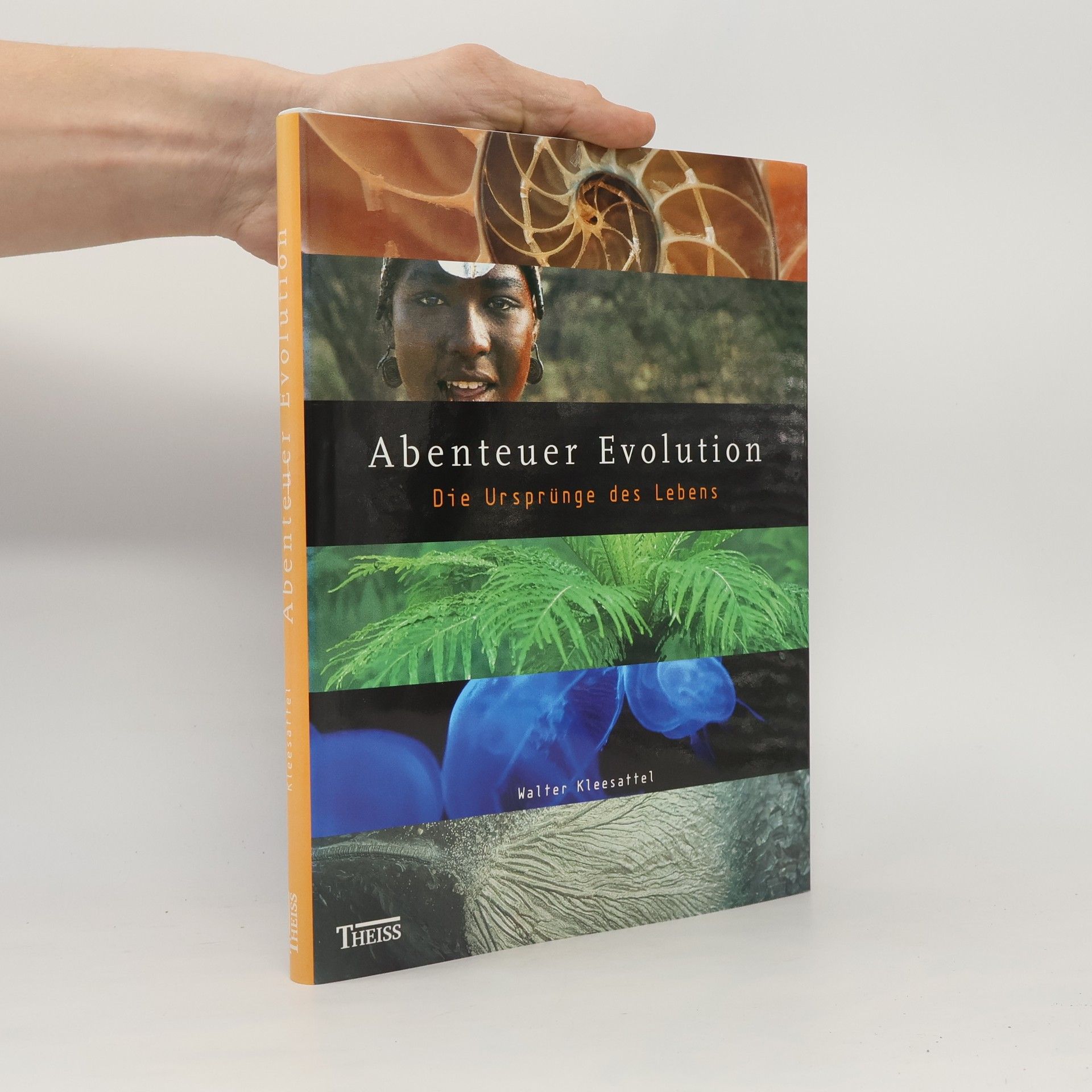 Walter Kleesattel Abenteuer Evolution