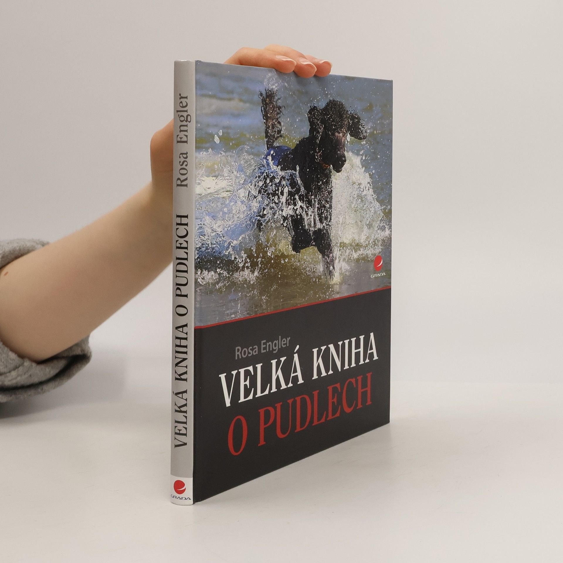 Velká kniha o pudlech