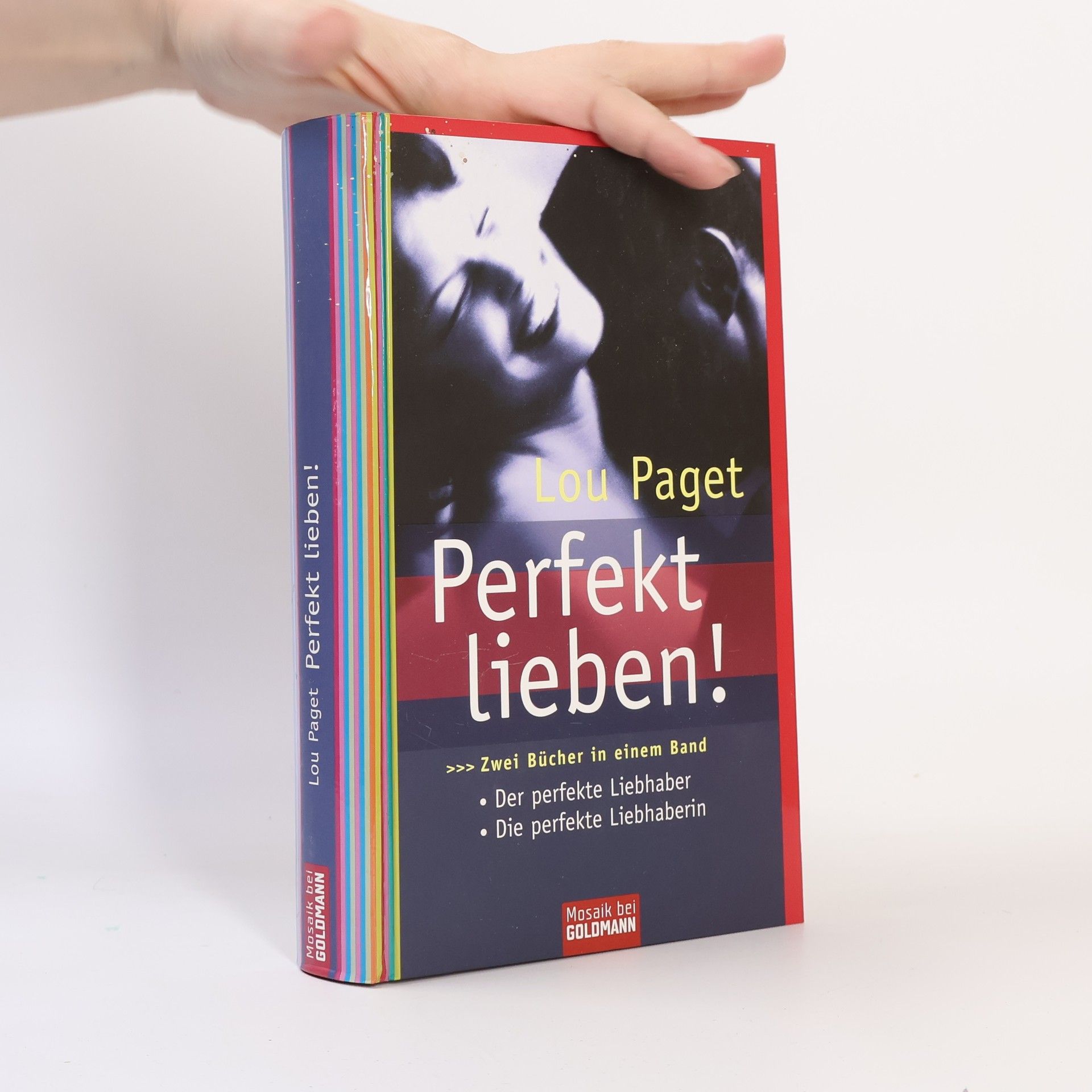 Lou Paget Perfekt lieben