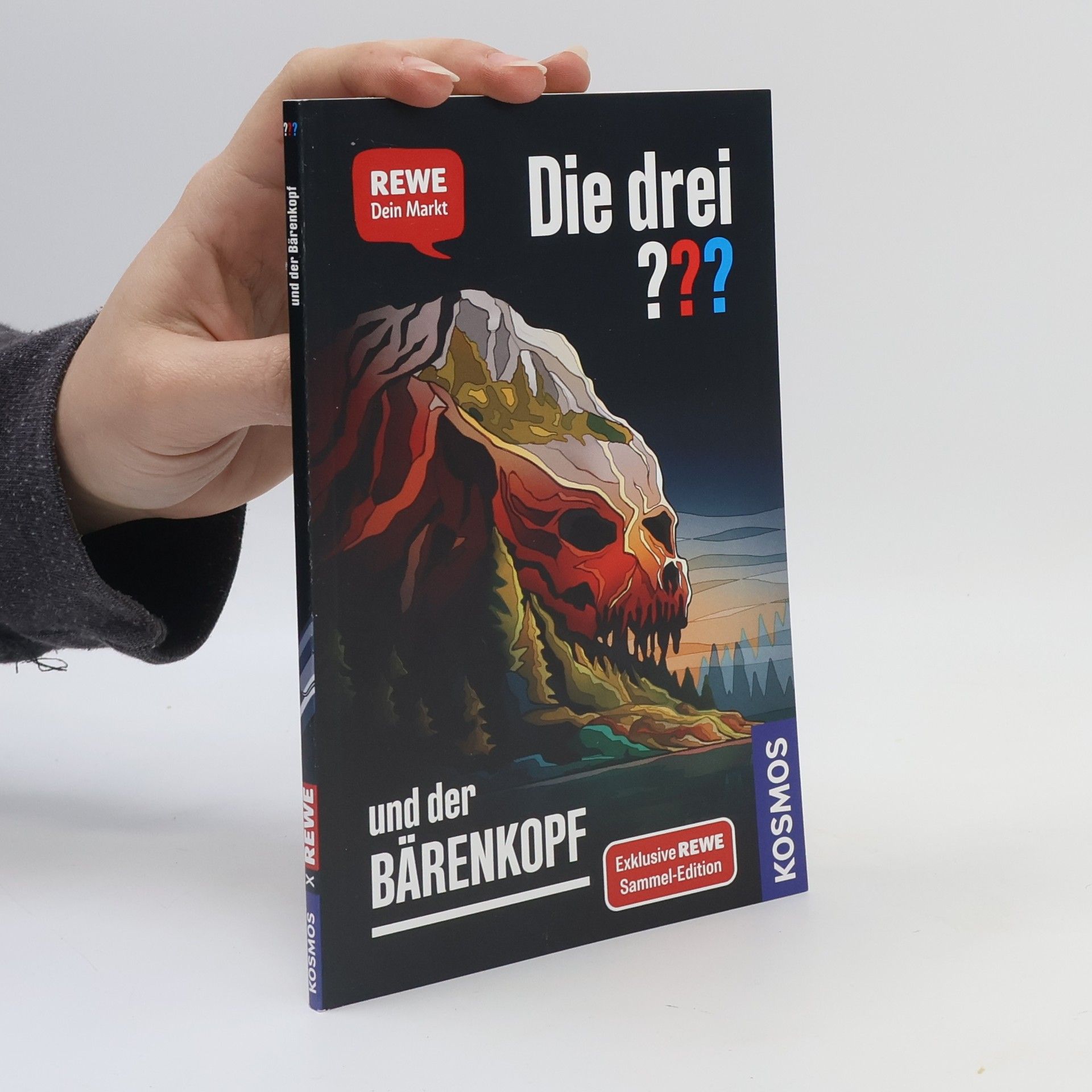 Andreas Ruch Die drei ??? und der Bärenkopf