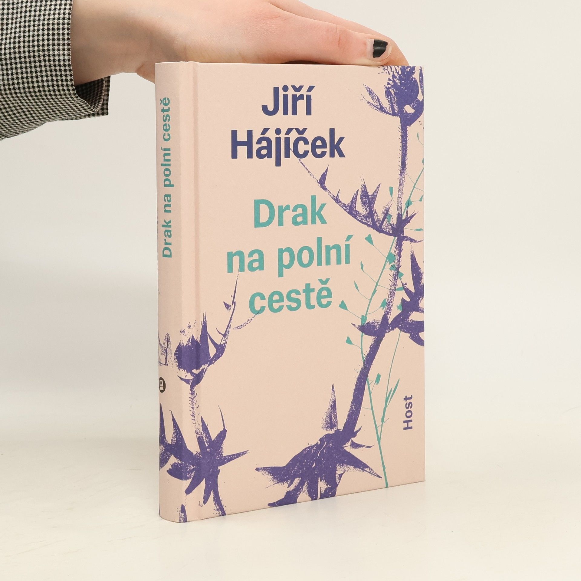 Jiří Hájíček Drak na polní cestě