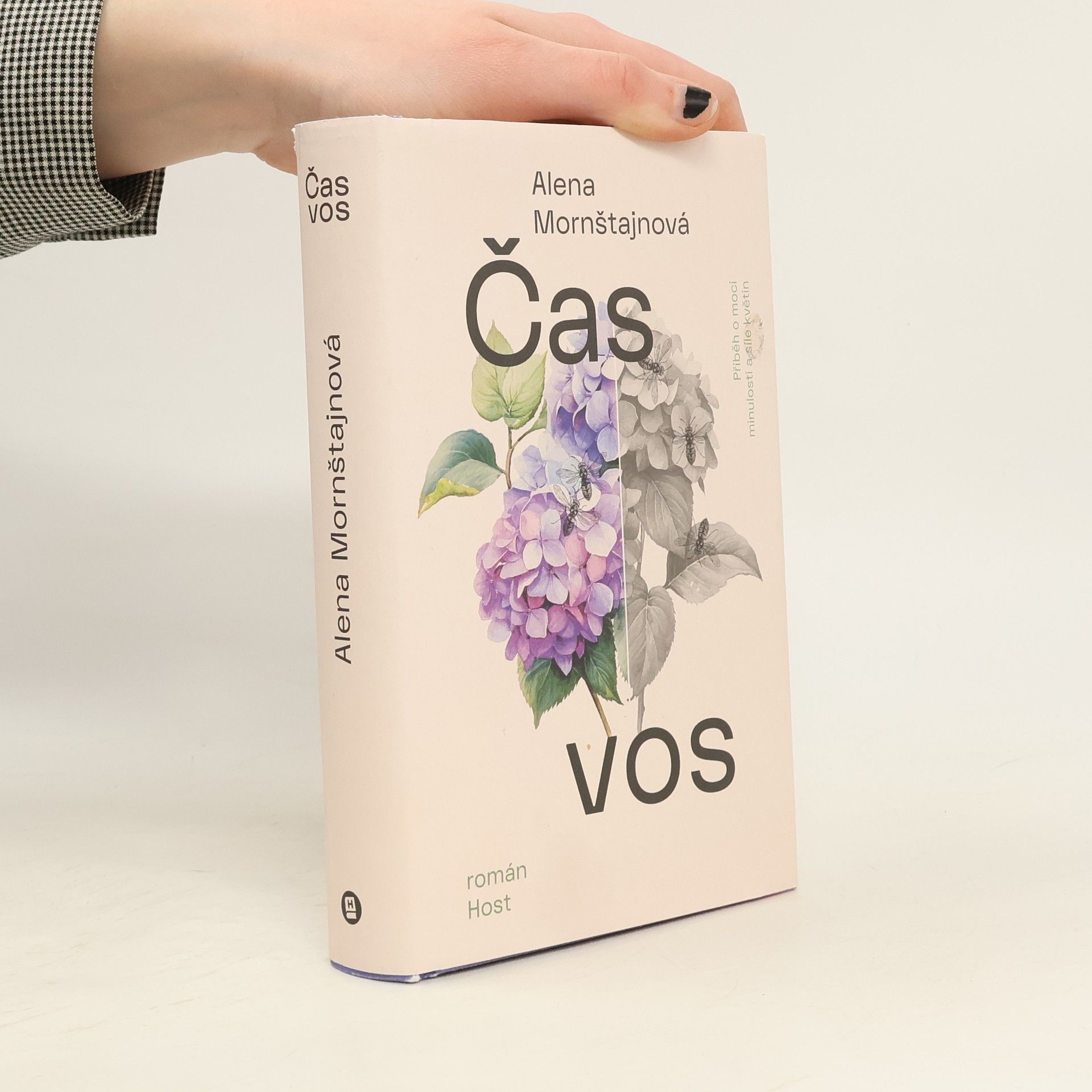 Alena Mornštajnová Čas vos