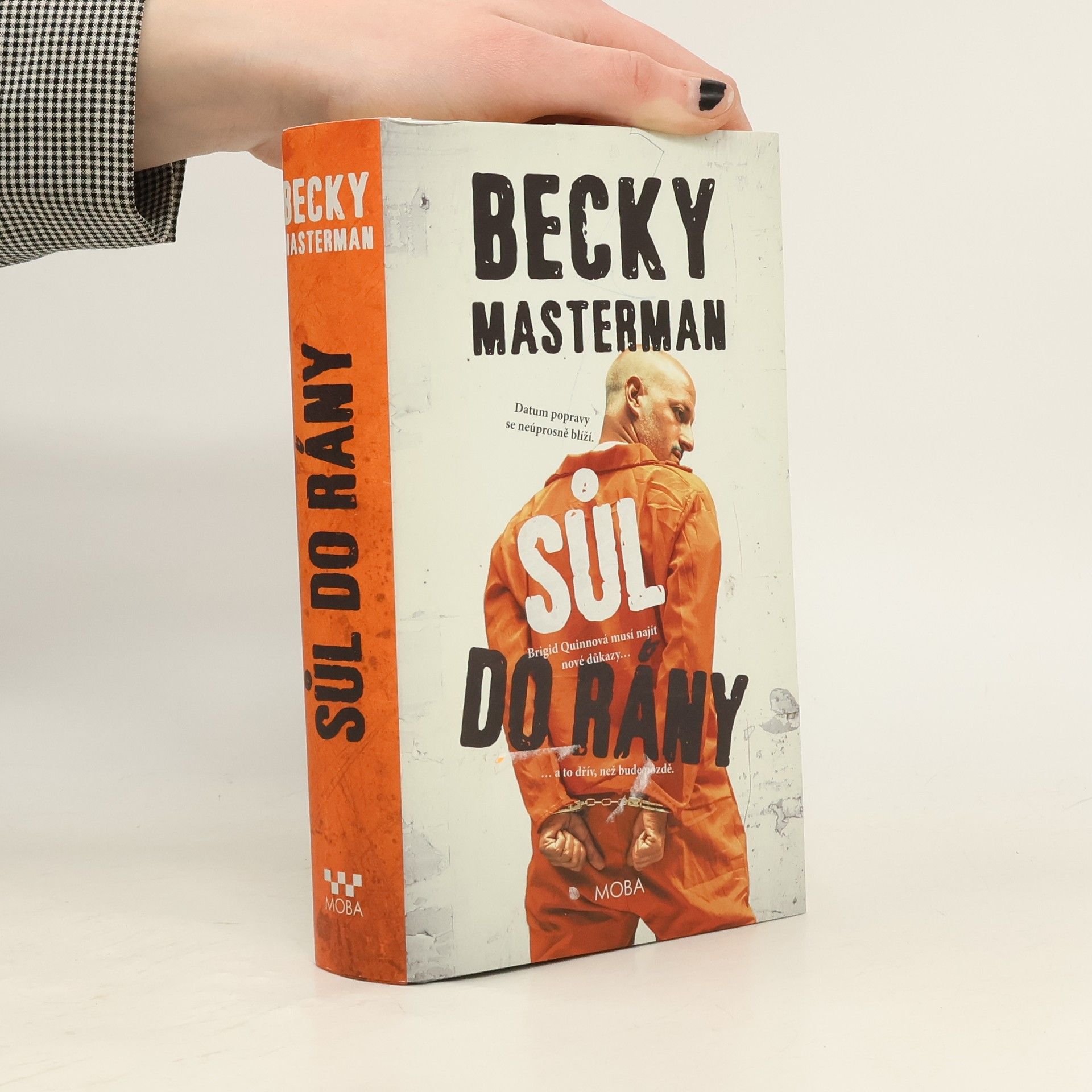 Becky Masterman Sůl do rány