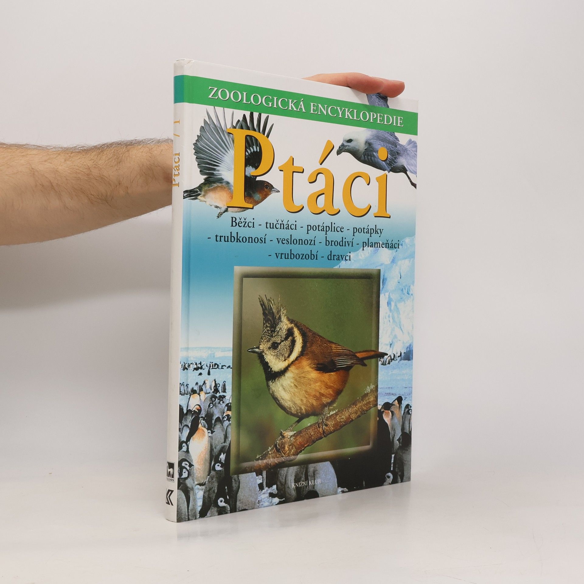 Einhard Bezzel Ptáci. Běžci, tučňáci, potáplice, potápky, trubkonosí, veslonozí, brodiví, plameňáci, vrubozobí, dravci