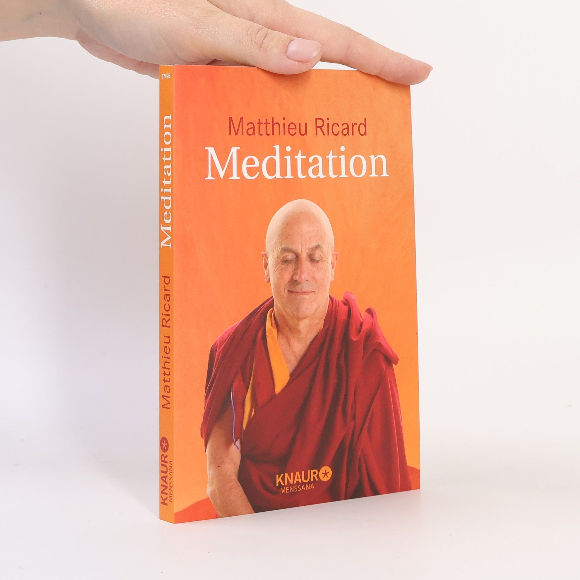 Matthieu Ricard Meditation