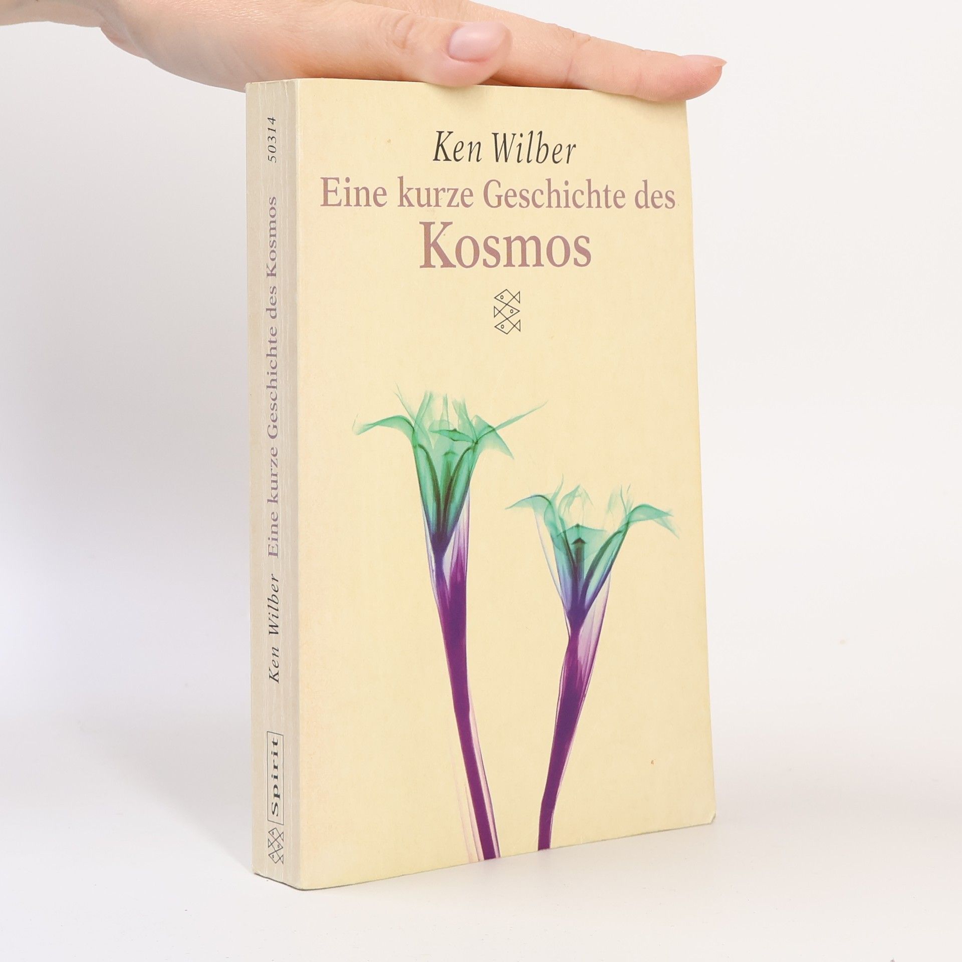 Ken Wilber Spirit: Eine kurze Geschichte des Kosmos