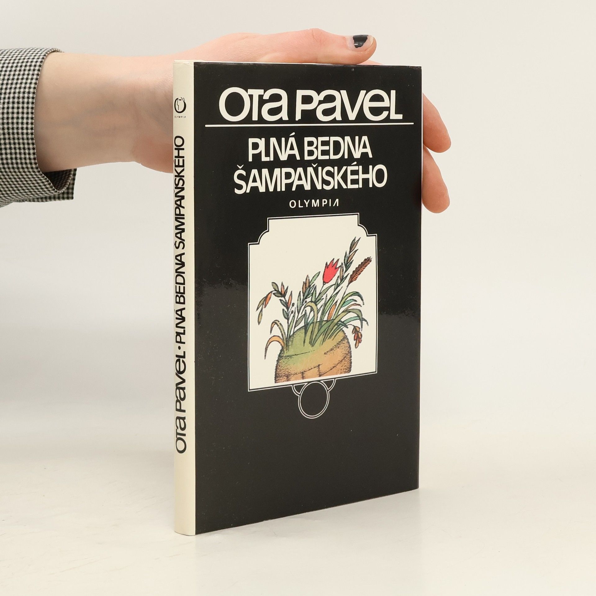 Plná bedna šampaňského