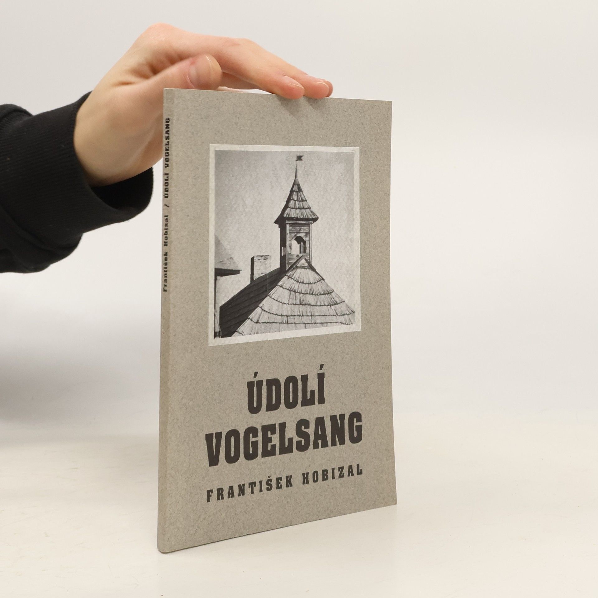 František Hobizal Údolí Vogelsang