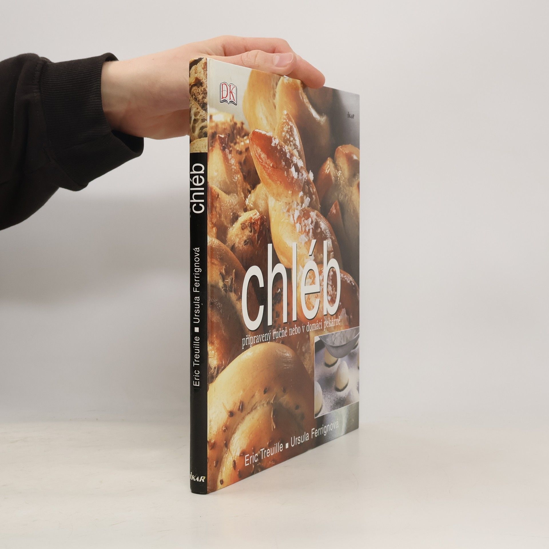 Eric Treuille Chléb: Připravený ručně nebo v domácí pekárně