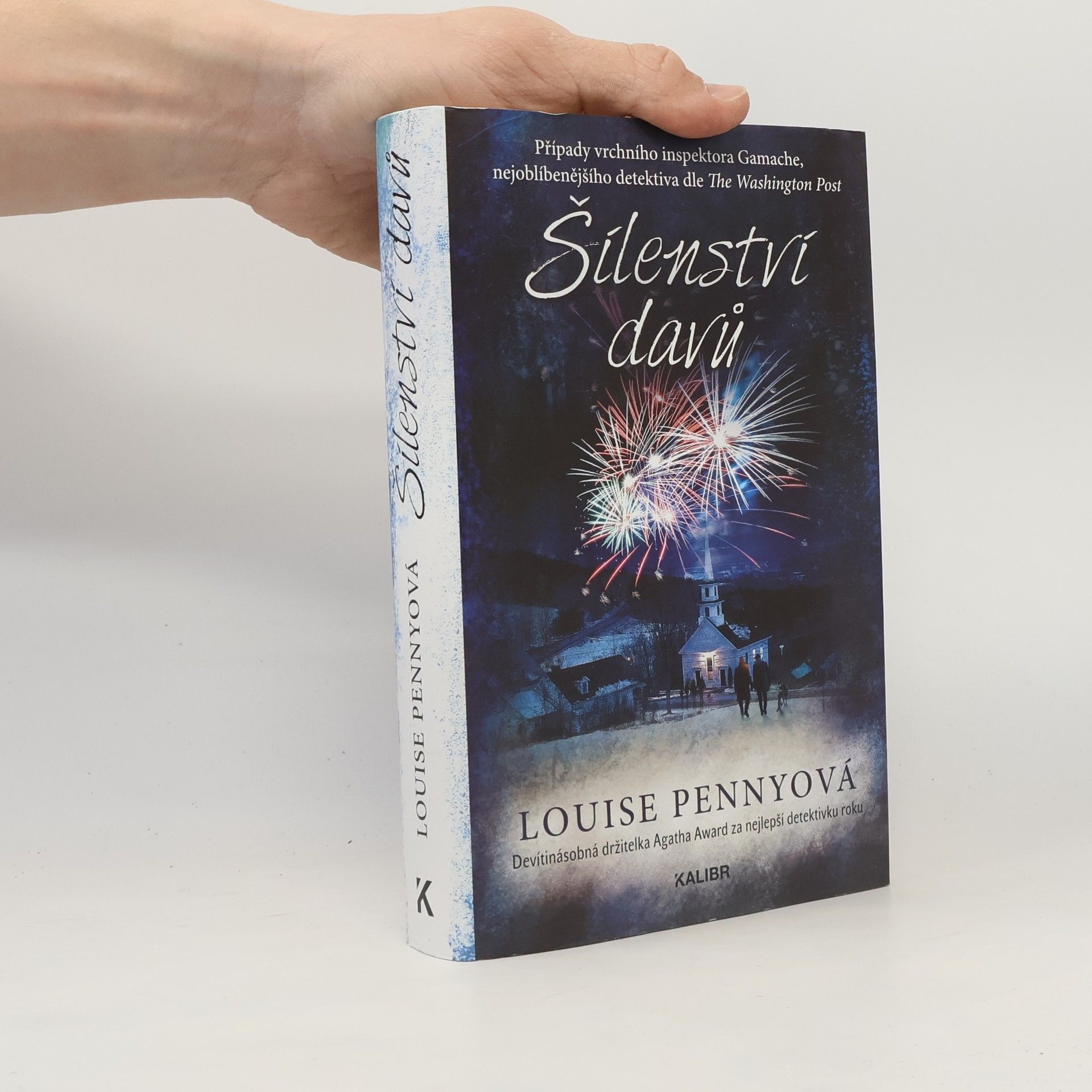 Louise Penny Šílenství davů