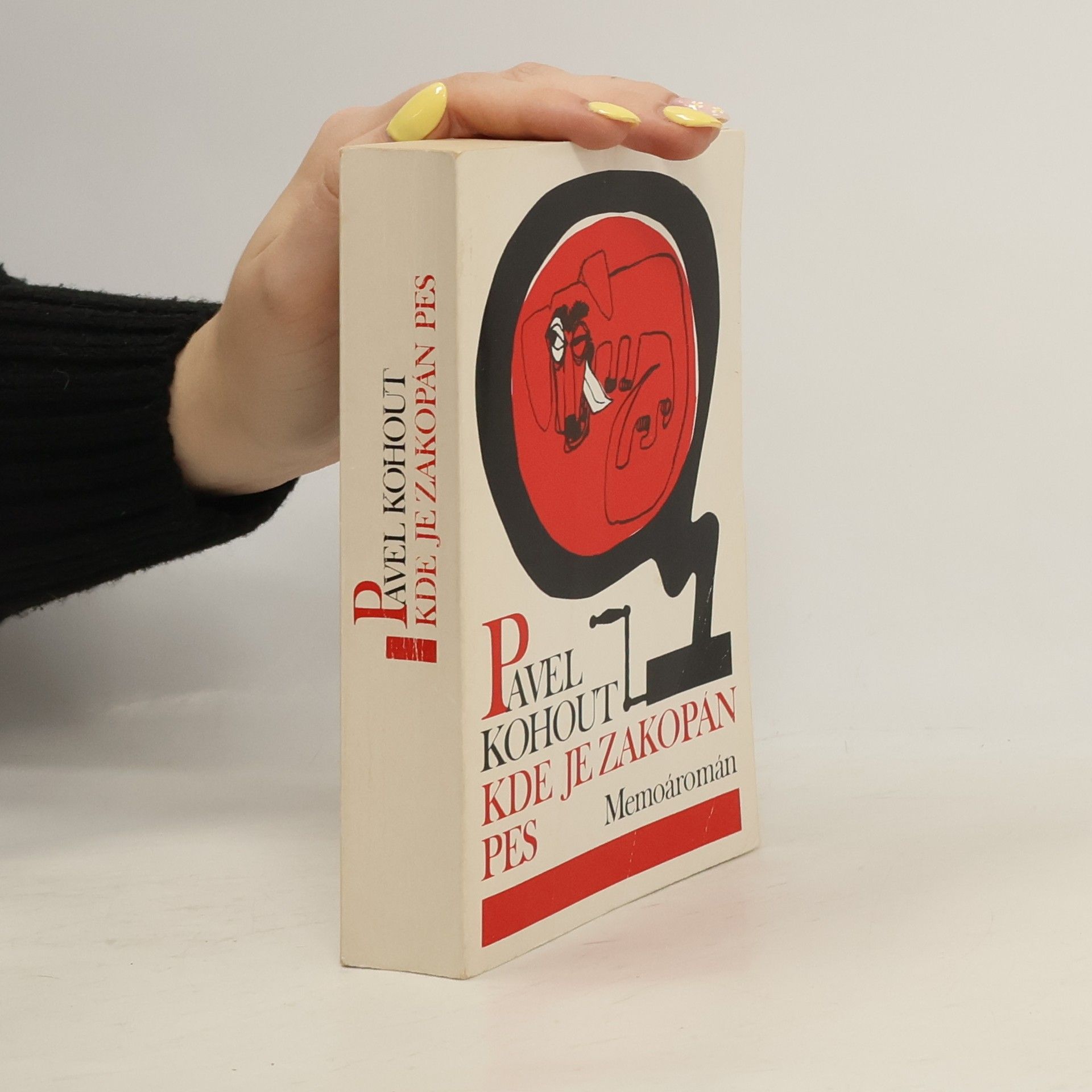 Pavel Kohout Kde je zakopán pes