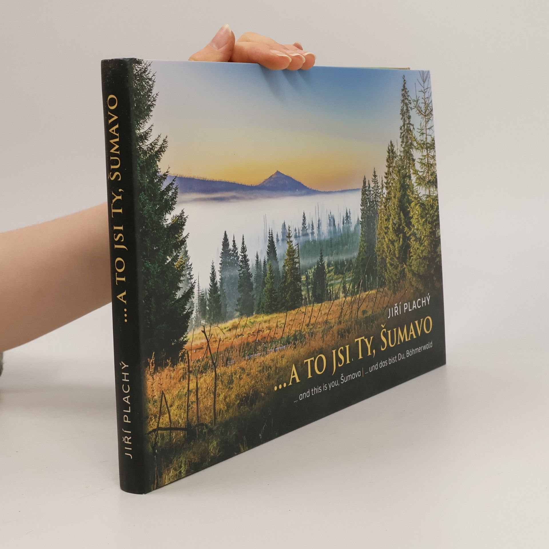 Jiří Plachý ... a to jsi Ty, Šumavo