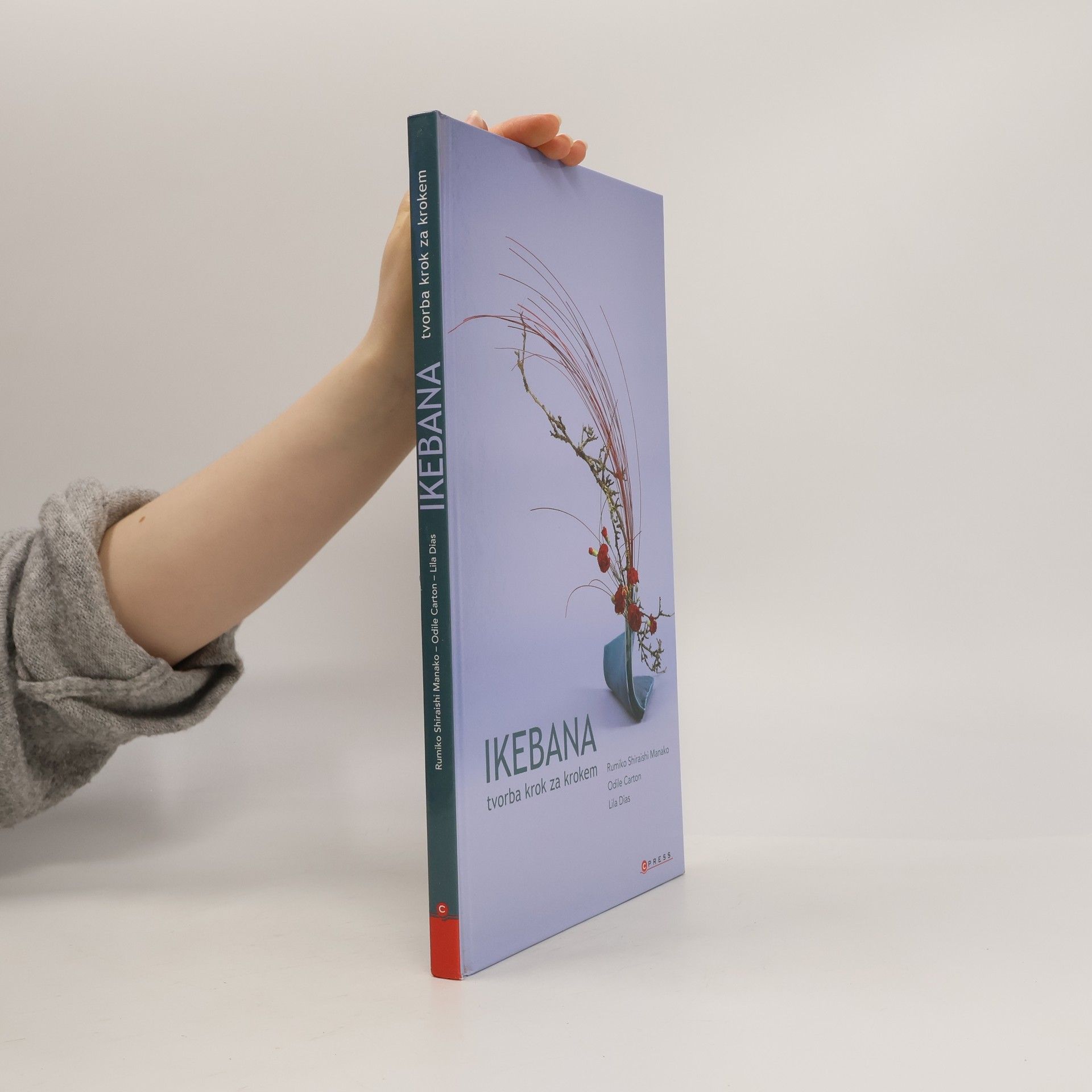 Lila Dias Ikebana. Tvorba krok za krokem