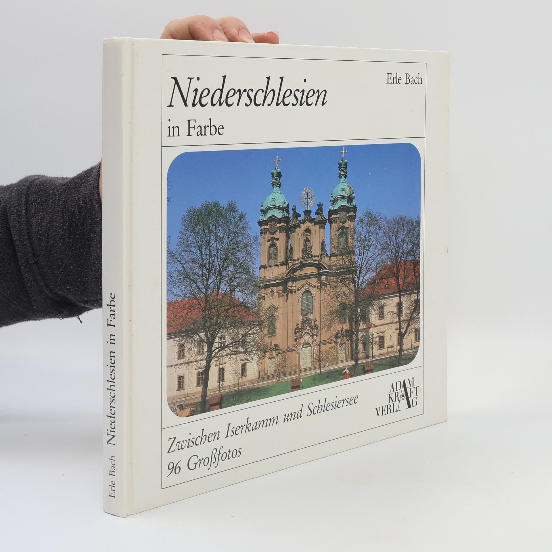 Erle Bach Niederschlesien in Farbe