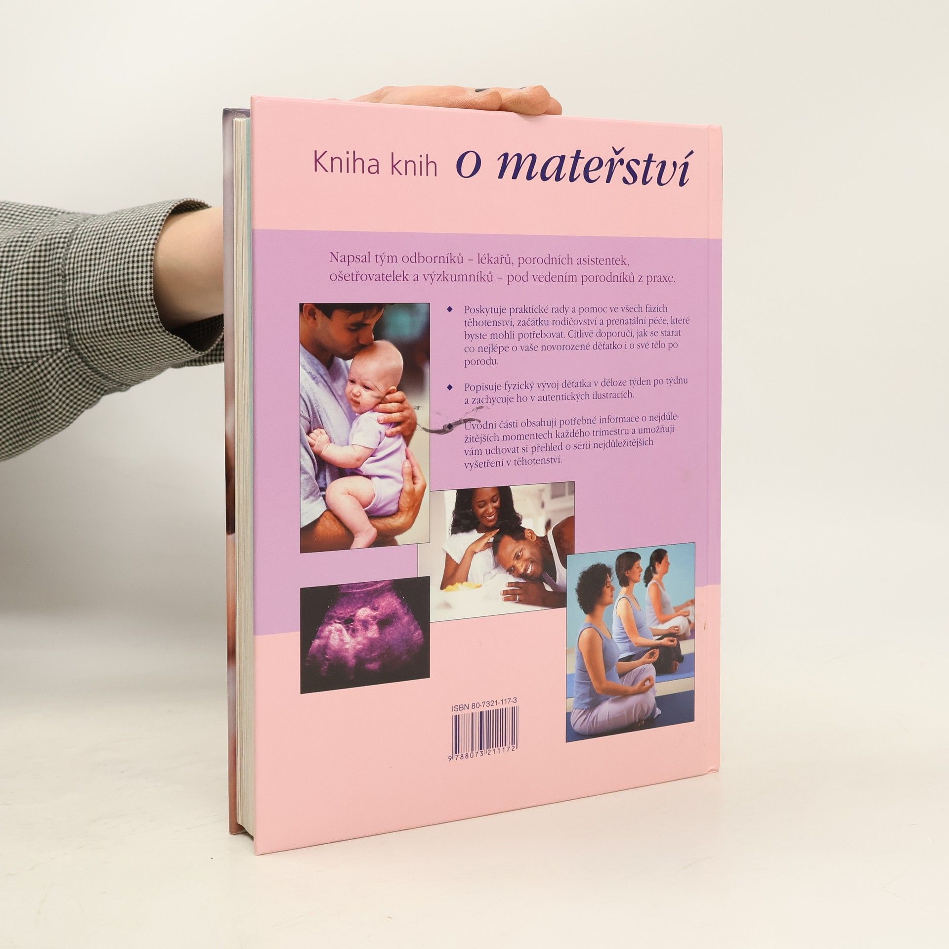 Anne Deans O mateřství : kniha knih