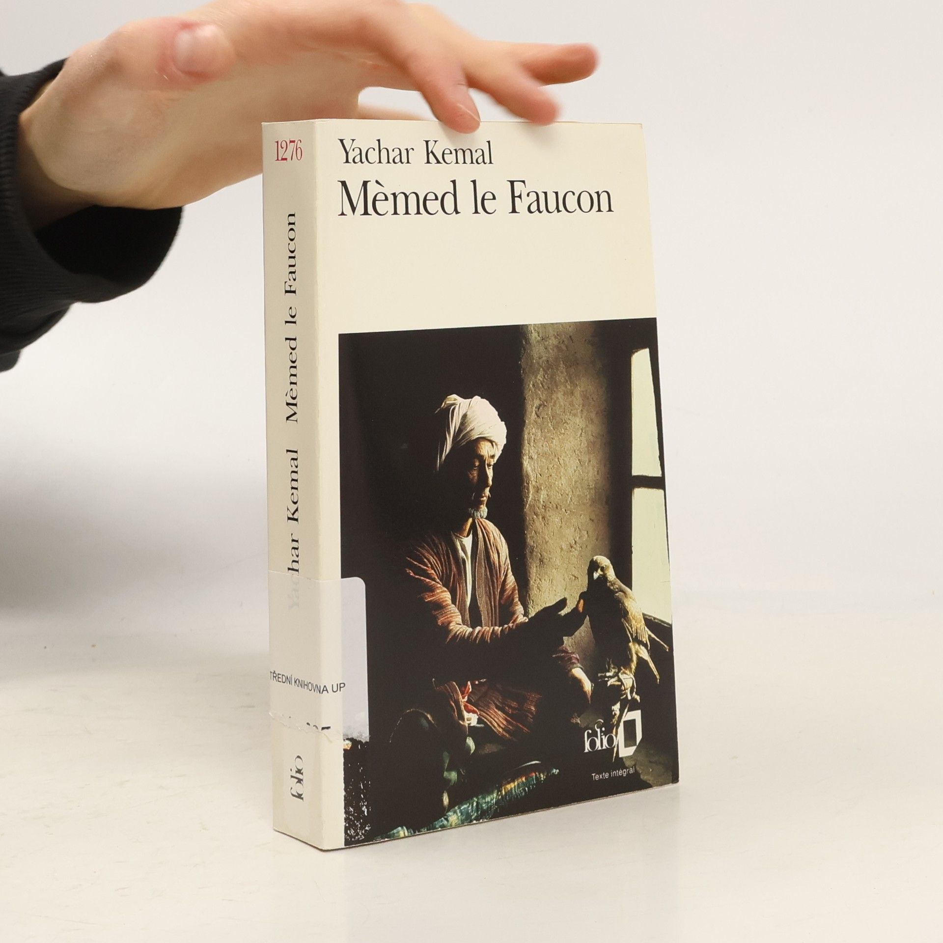 Münevver Andaç Mèmed le Faucon - Texte intégral