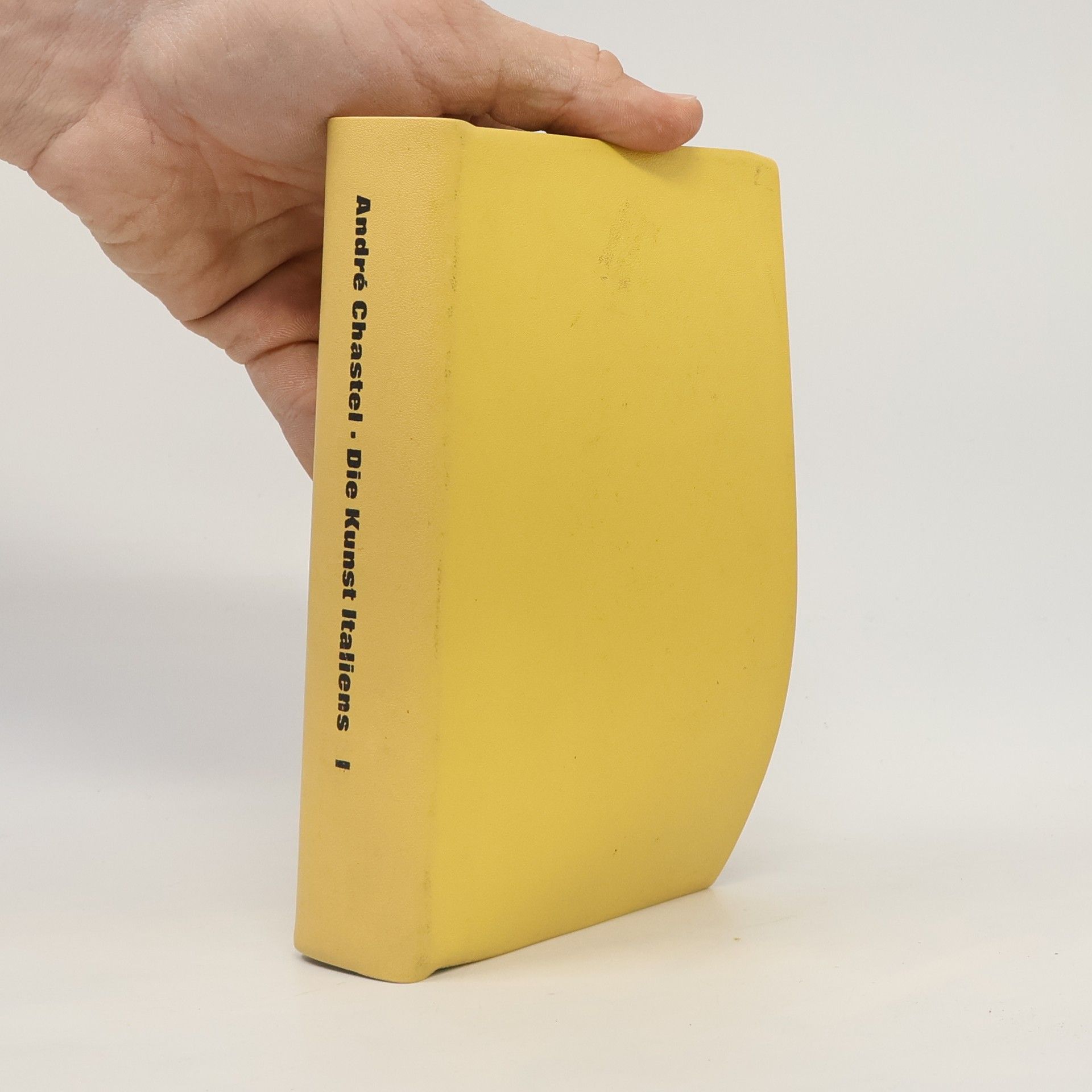 André Chastel Die Kunst Italiens I