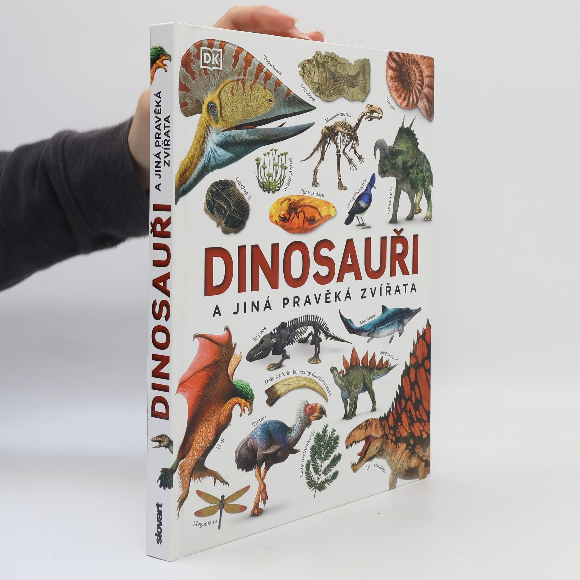 Vladimír Socha Dinosauři a jiná pravěká zvířata