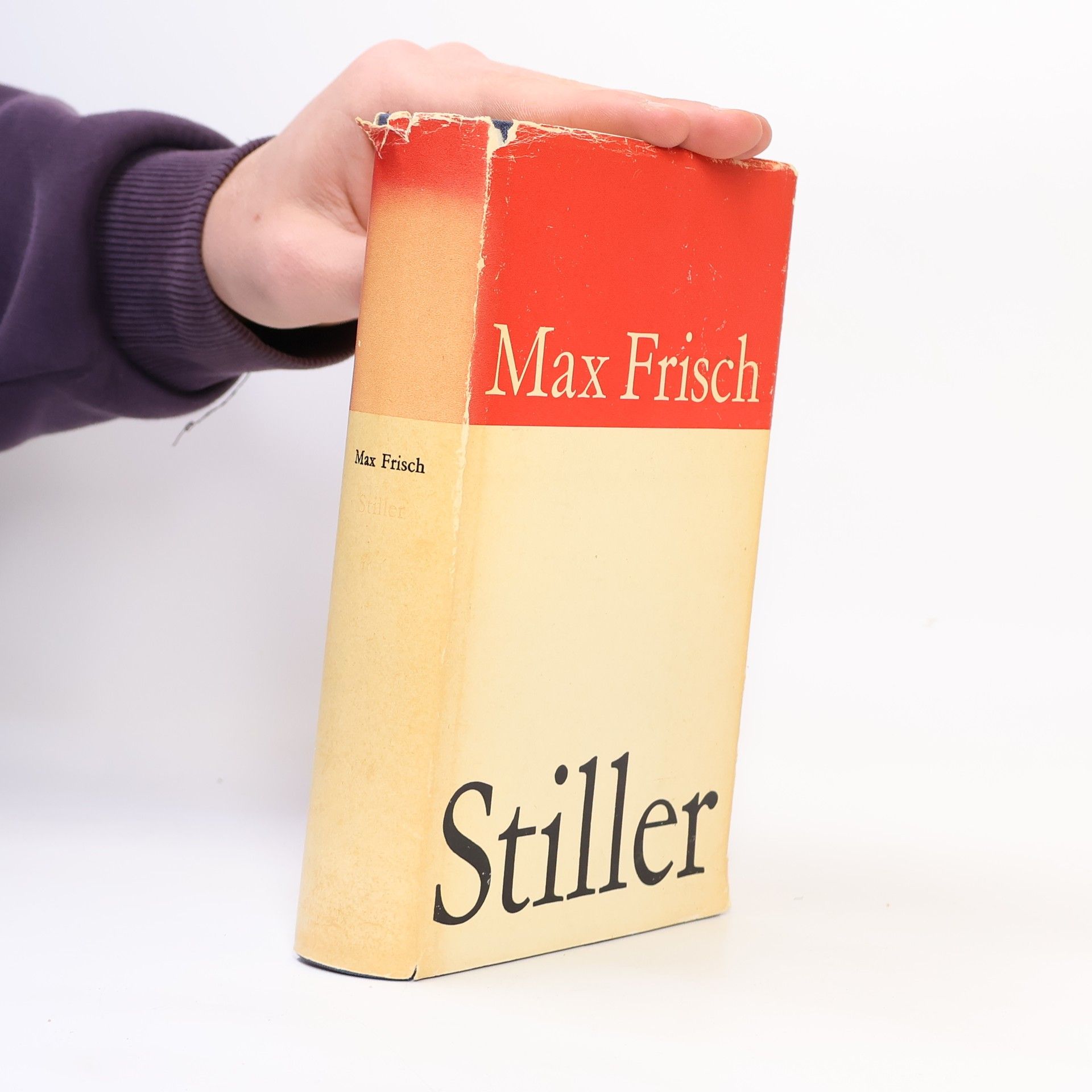 Max Frisch Stiller