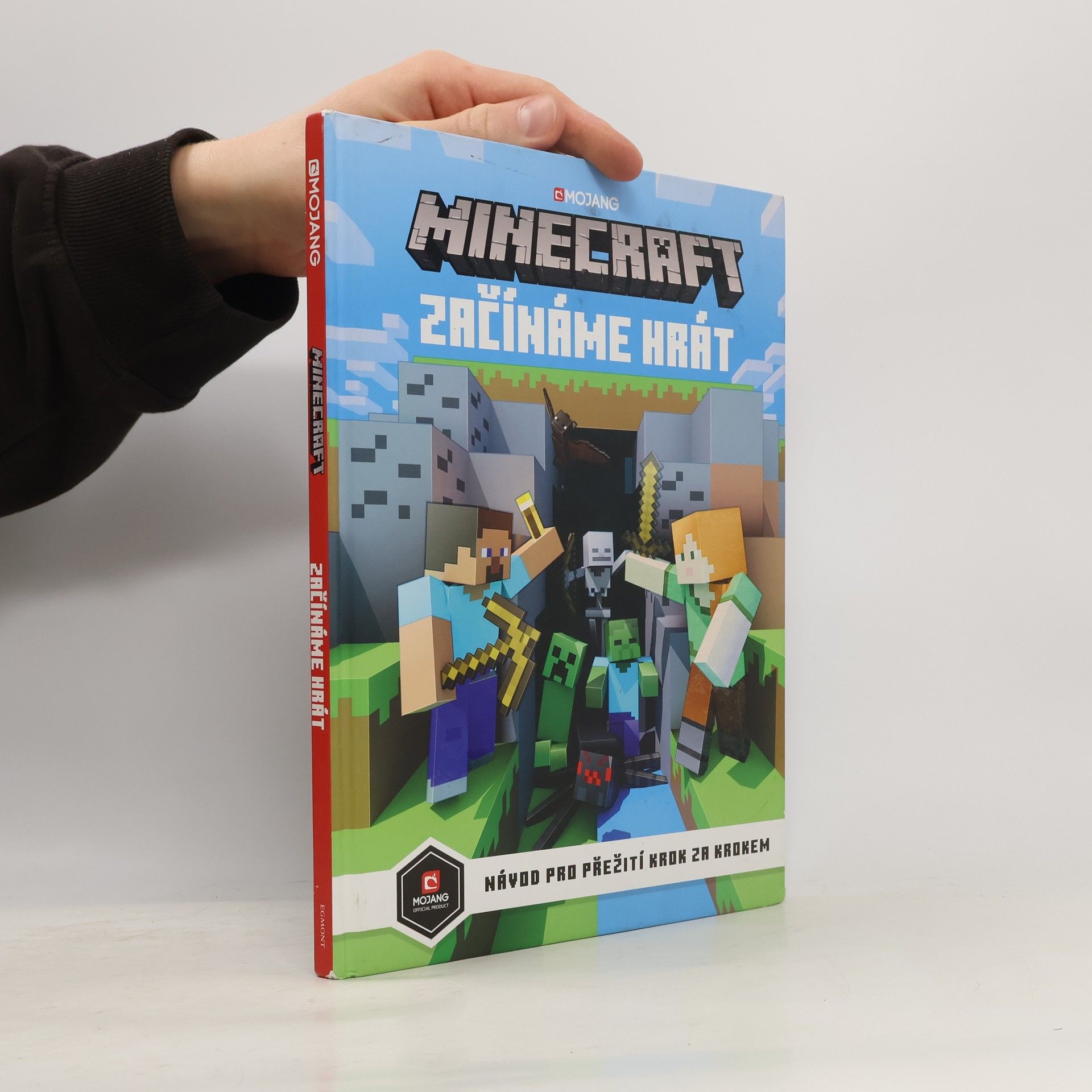 Stephanie Milton Minecraft - začínáme hrát