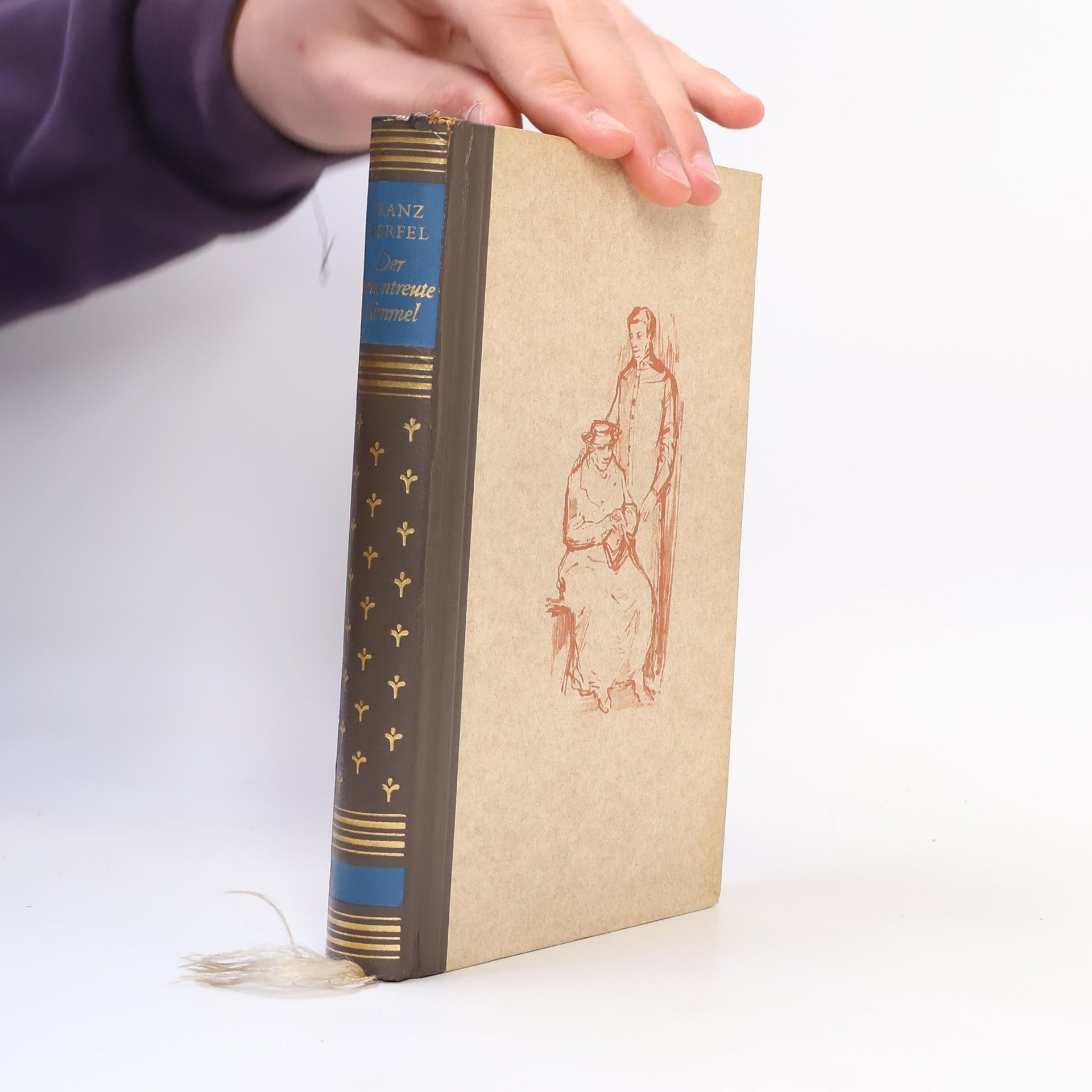 Franz Werfel Der veruntreute Himmel