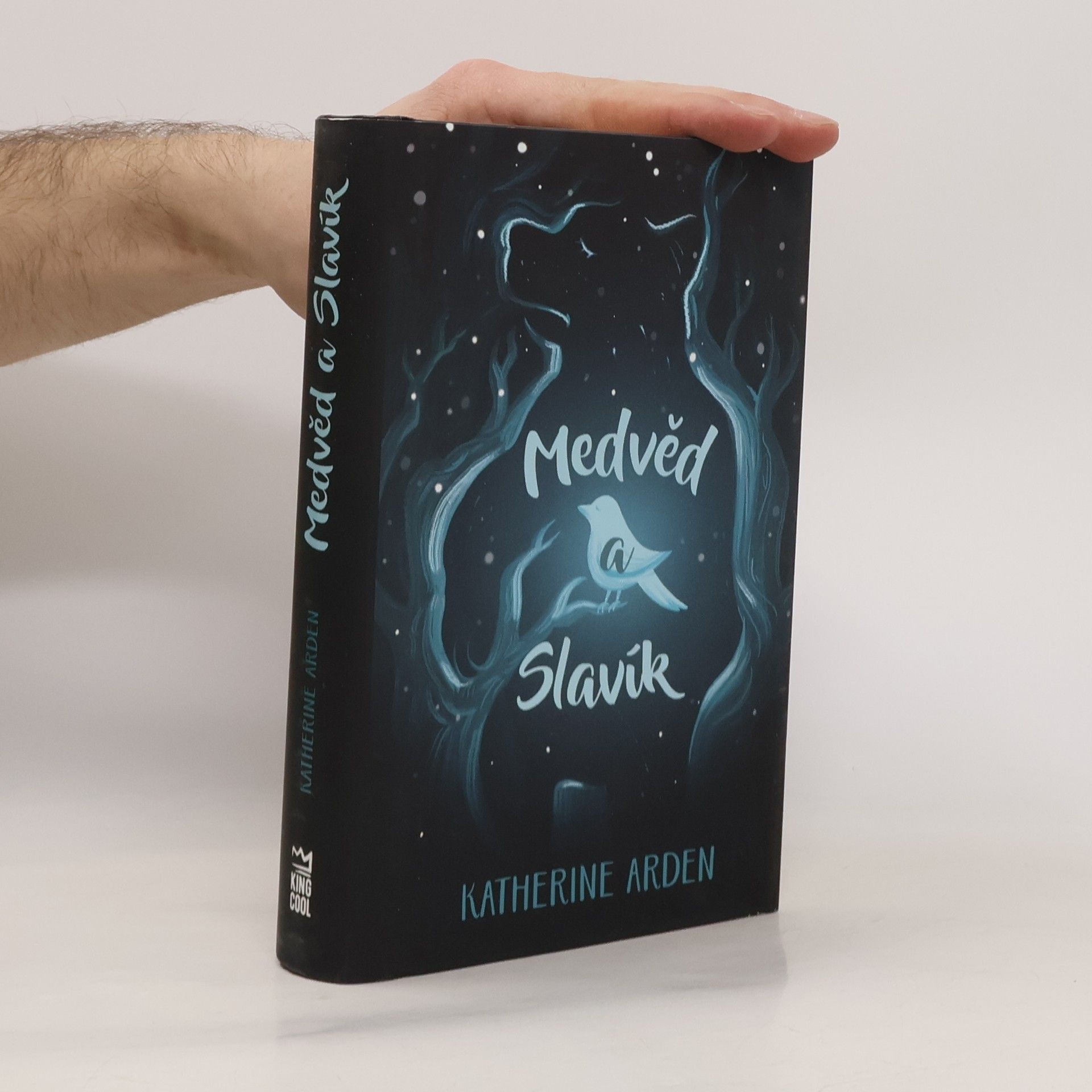 Katherine Arden Medvěd a Slavík
