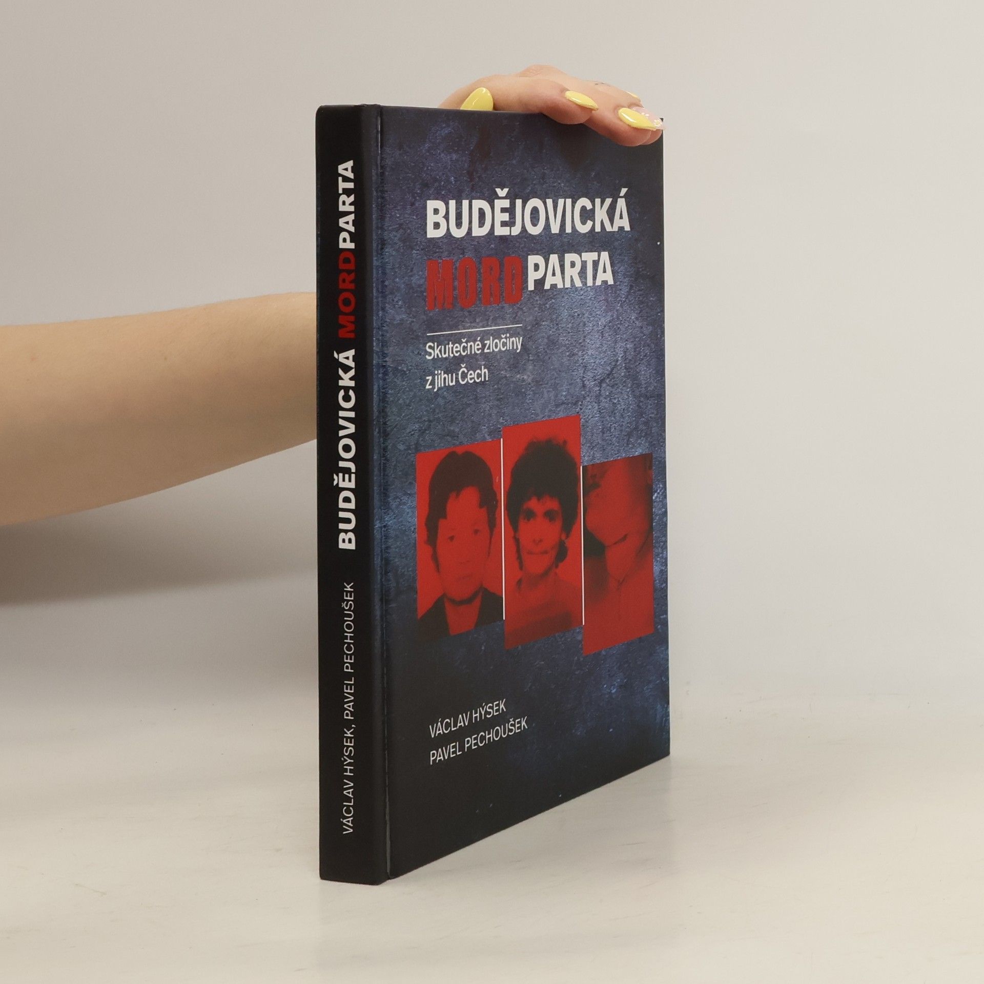 Václav Hýsek Budějovická mordparta