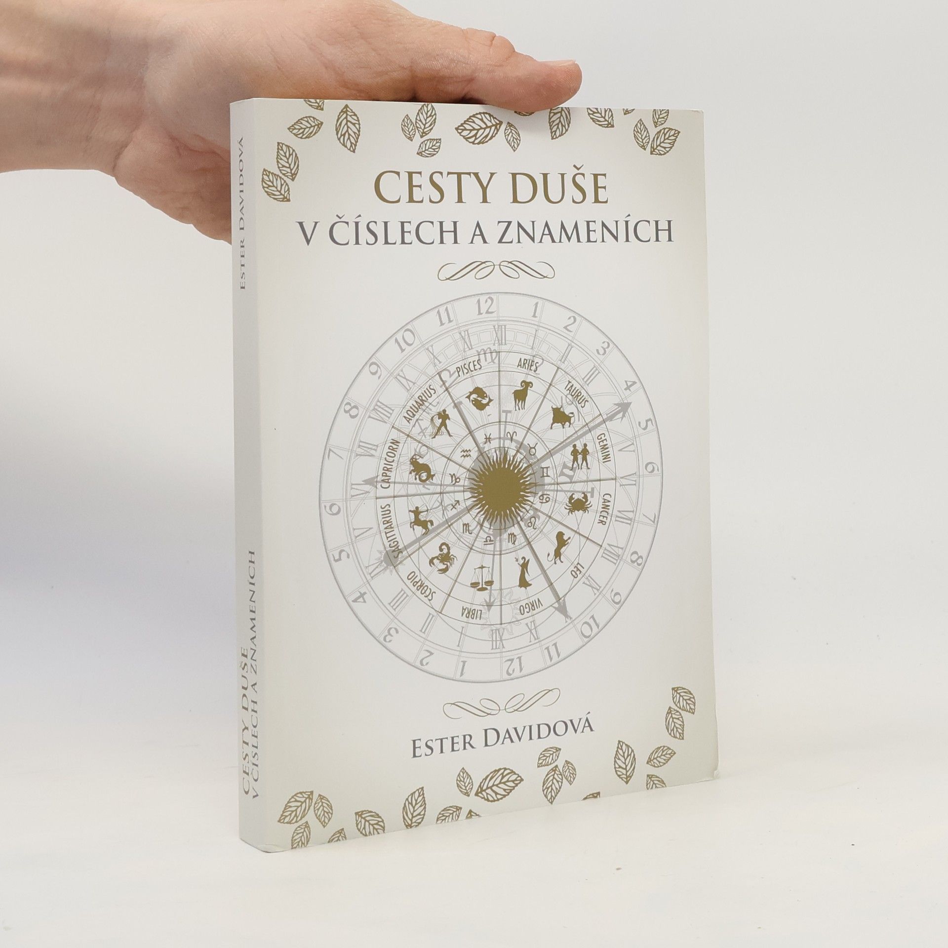 Ester Davidová Cesty duše v číslech a znameních