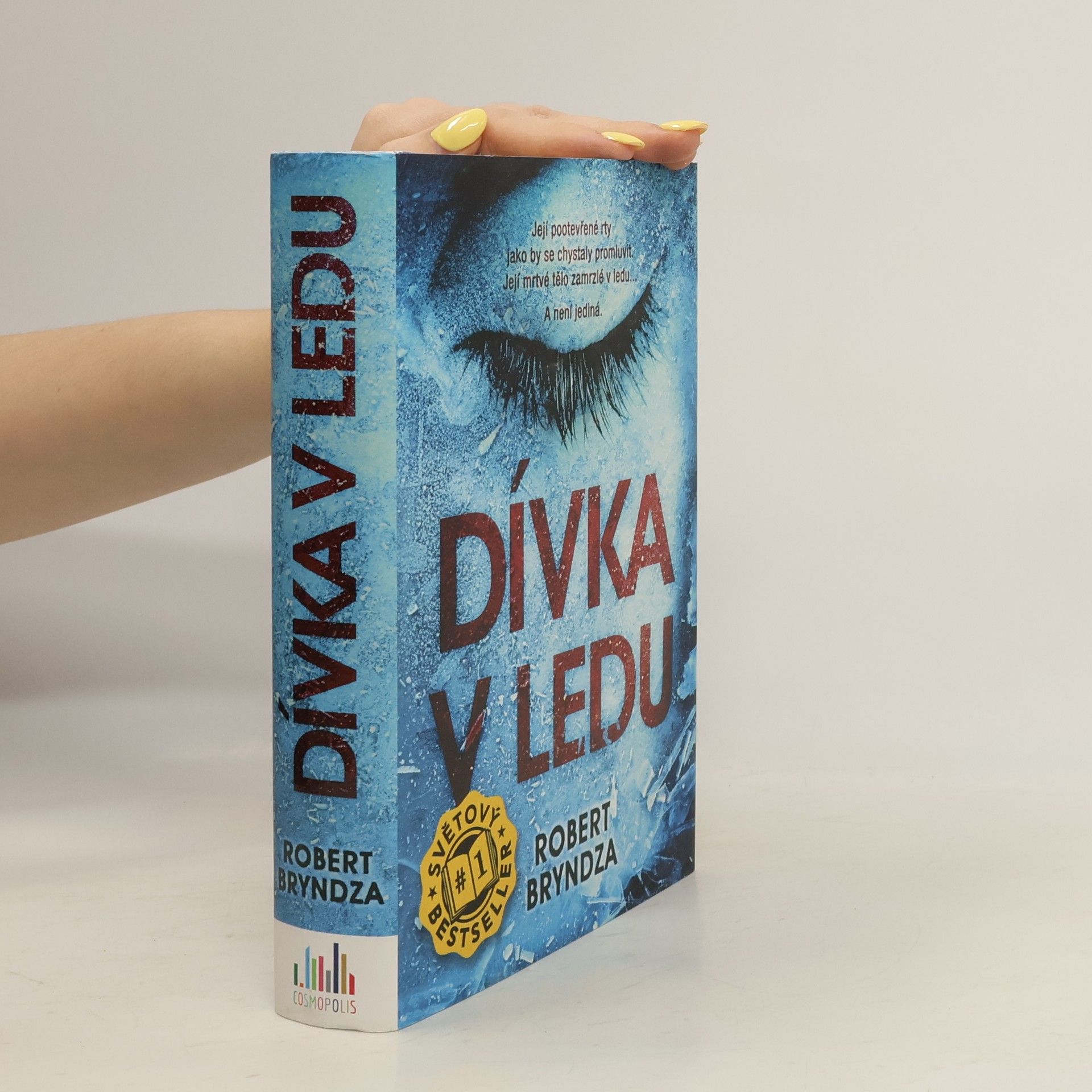 Dívka v ledu