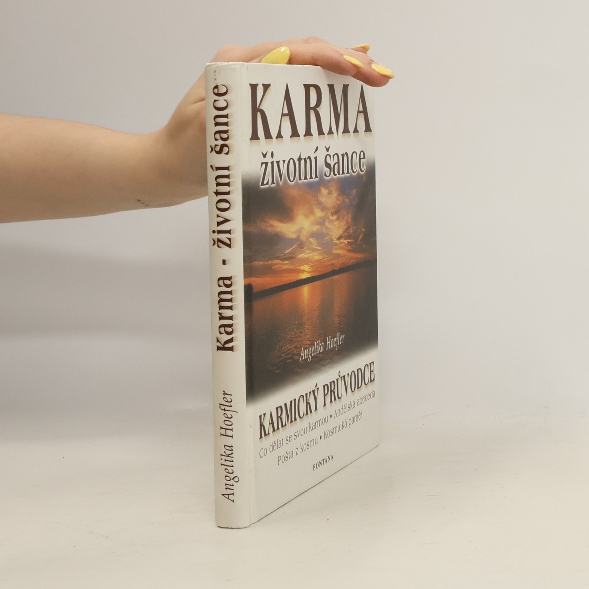 Angelika Hoefler Karma - životní šance, aneb, Jak proměníte každou zkoušku ve svůj osobní úspěch : karmický průvodce