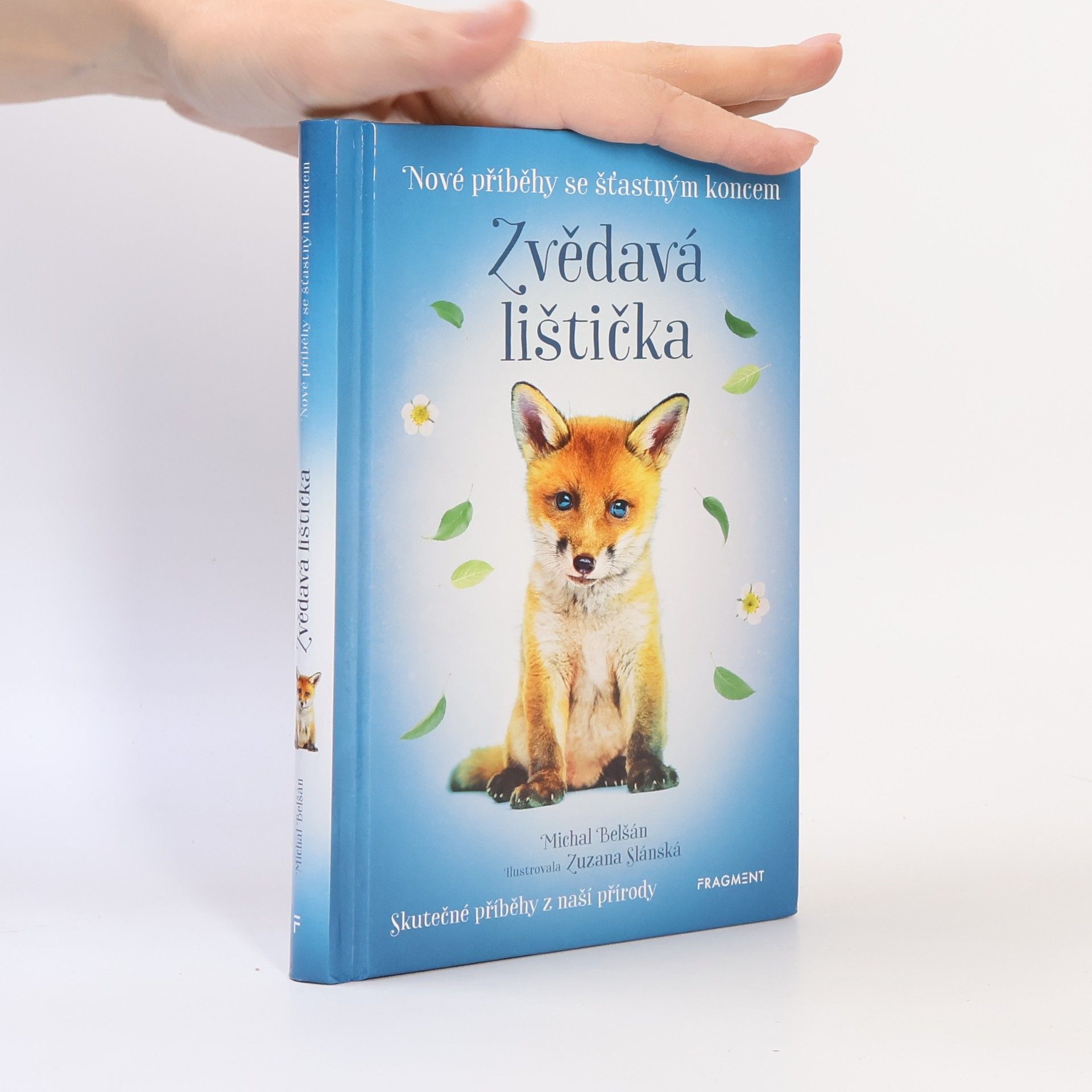 Michal Belšán Zvědavá lištička