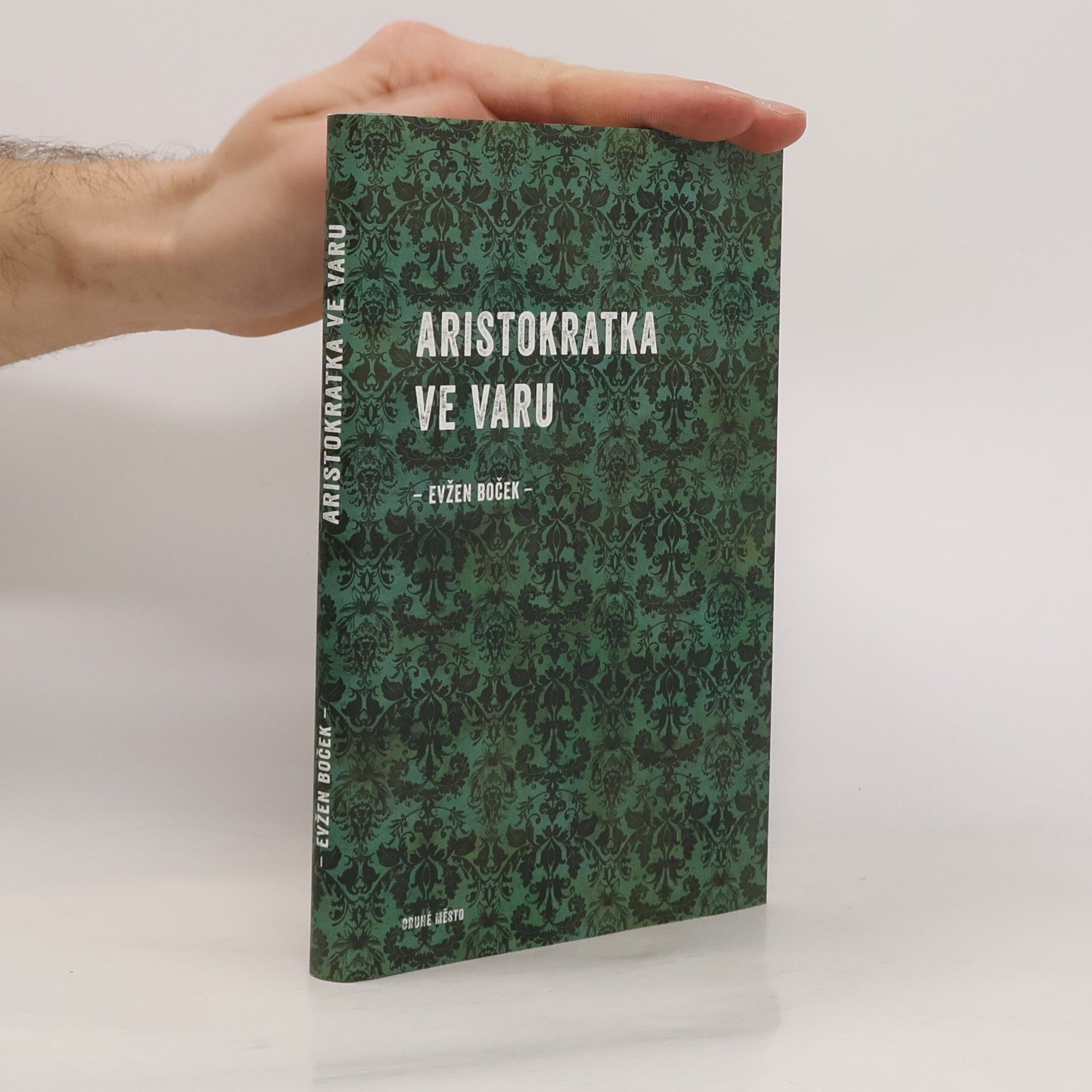 Evžen Boček Aristokratka ve varu