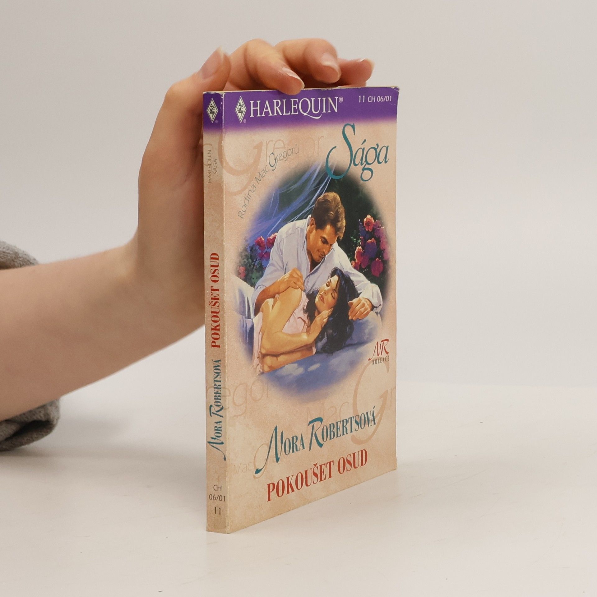 Nora Roberts Pokoušet osud