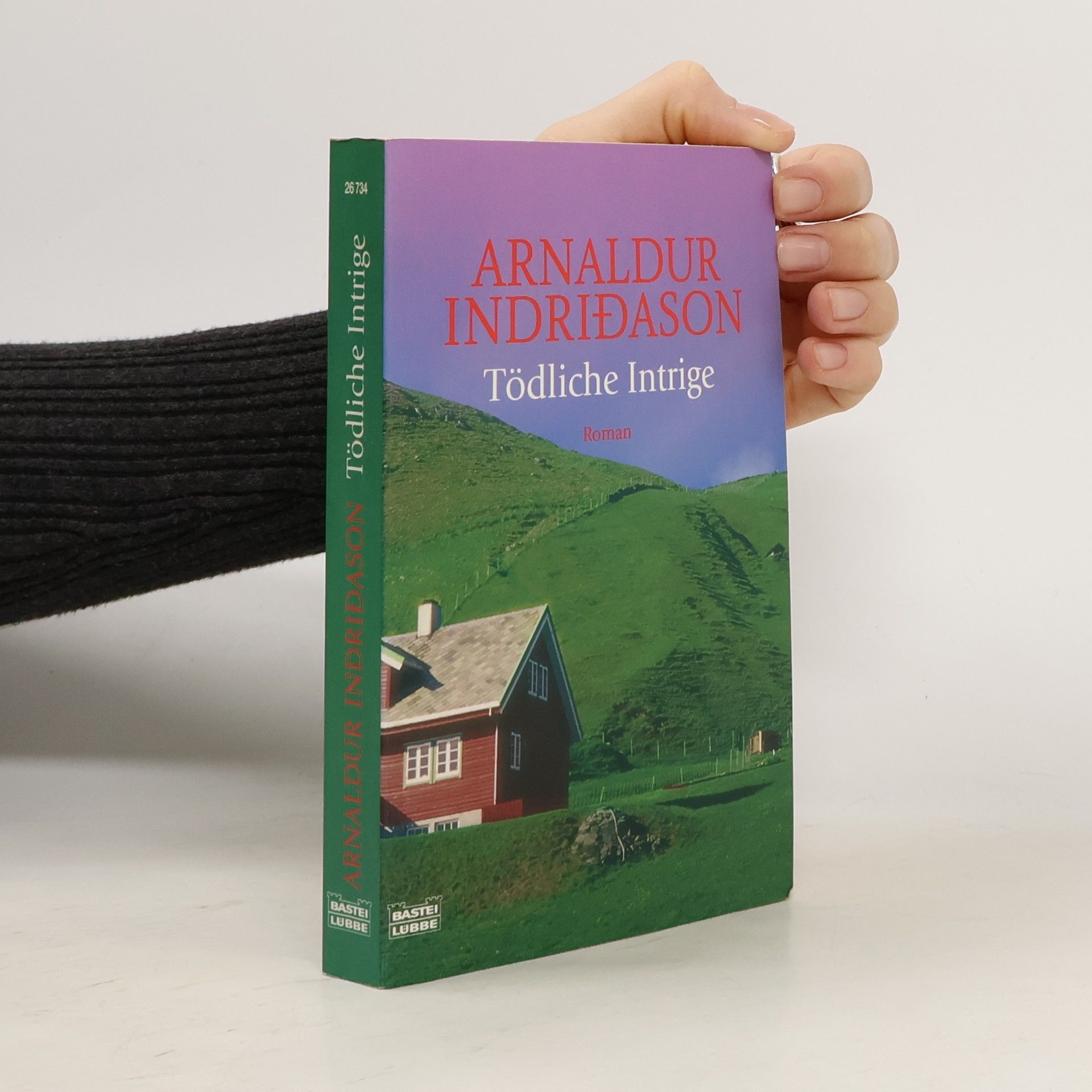 Arnaldur Indriðason Tödliche Intrige