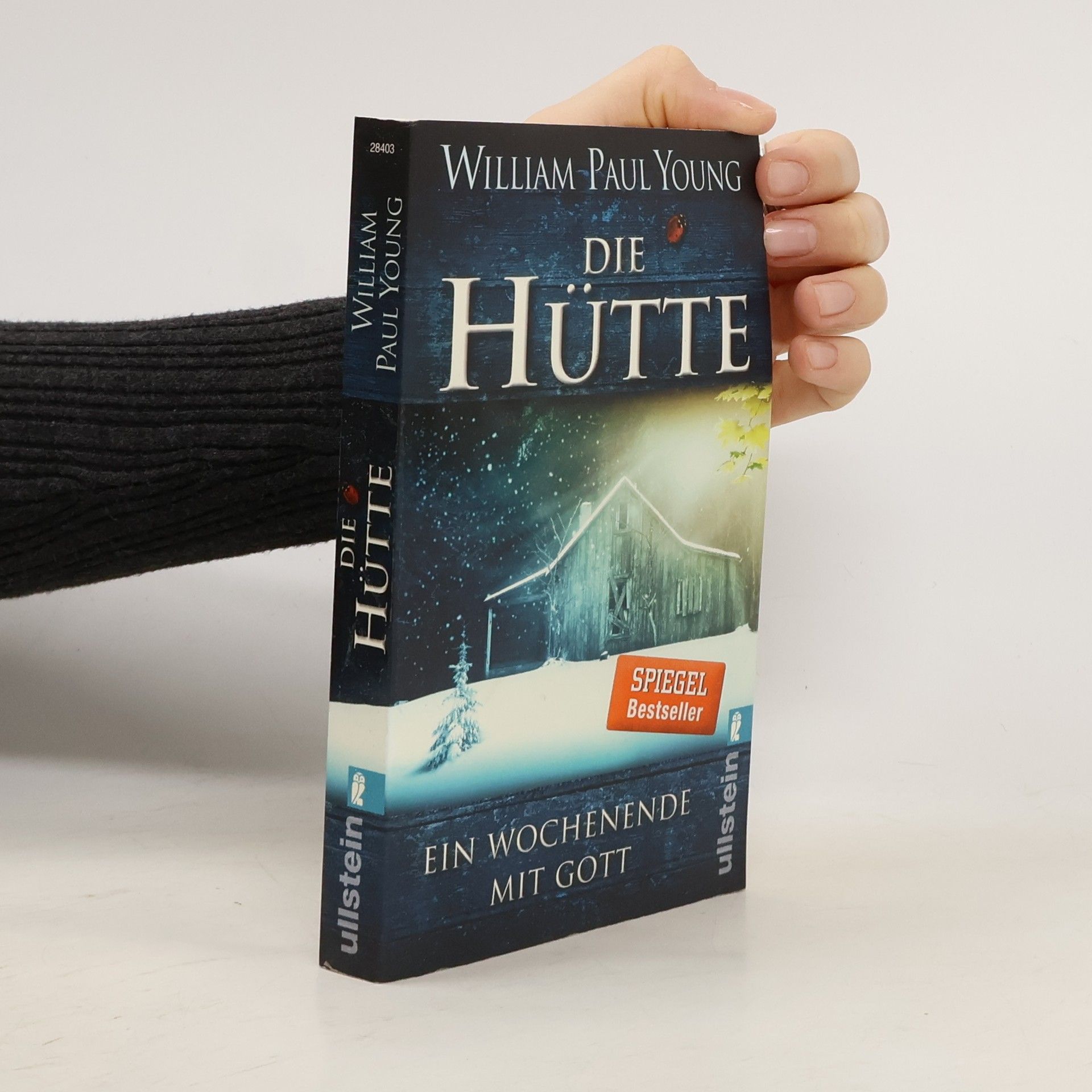 William P. Young Die Hütte