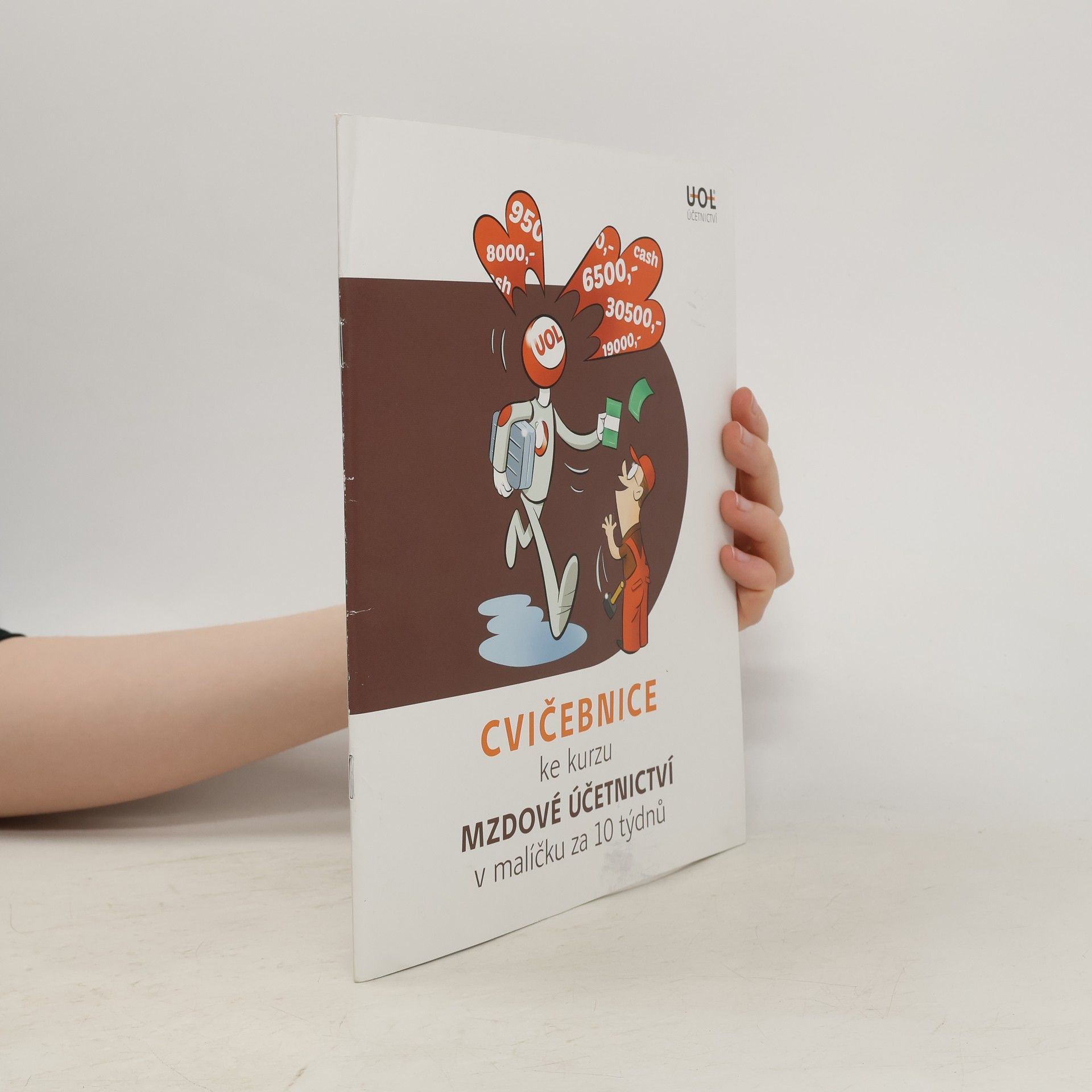 Kolektiv autorů Skripta ke kurzu Účetnictví v malíčku za 10 týdnů