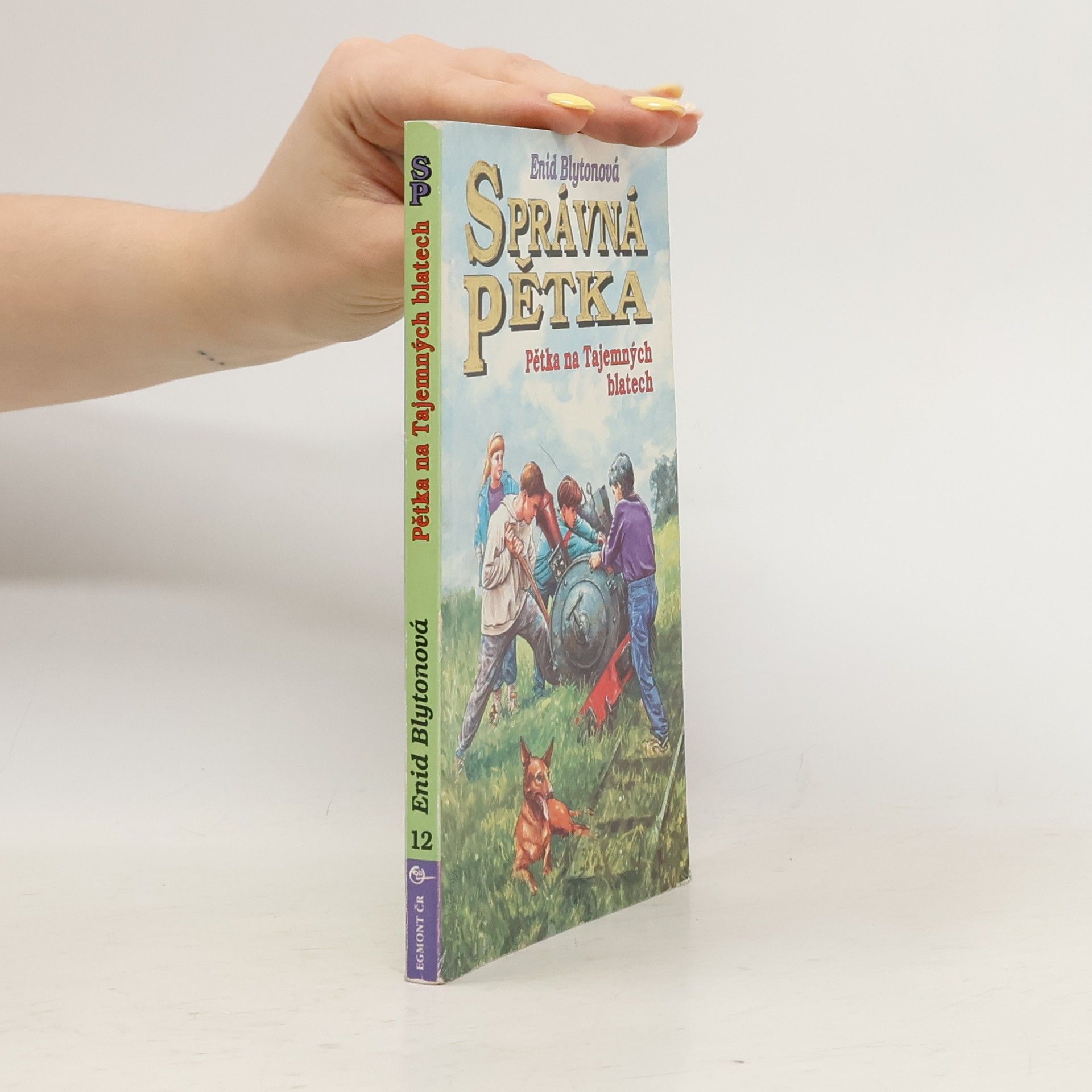 Enid Blyton Správná pětka - Pětka na Tajemných blatech