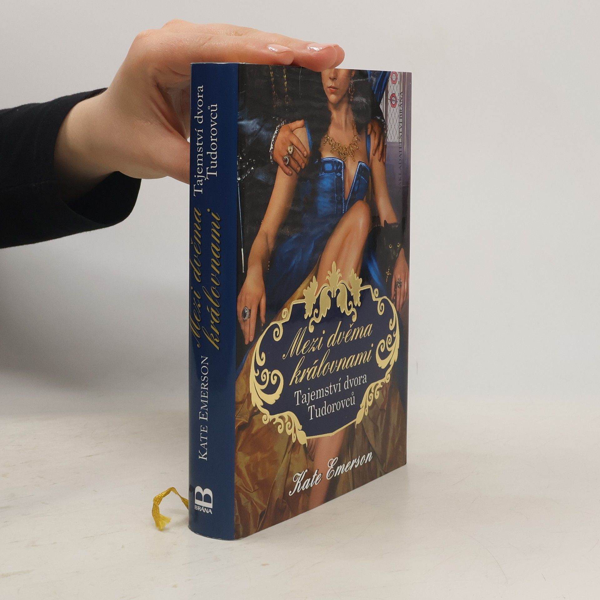 Kate Emerson Mezi dvěma královnami : tajemství dvora Tudorovců