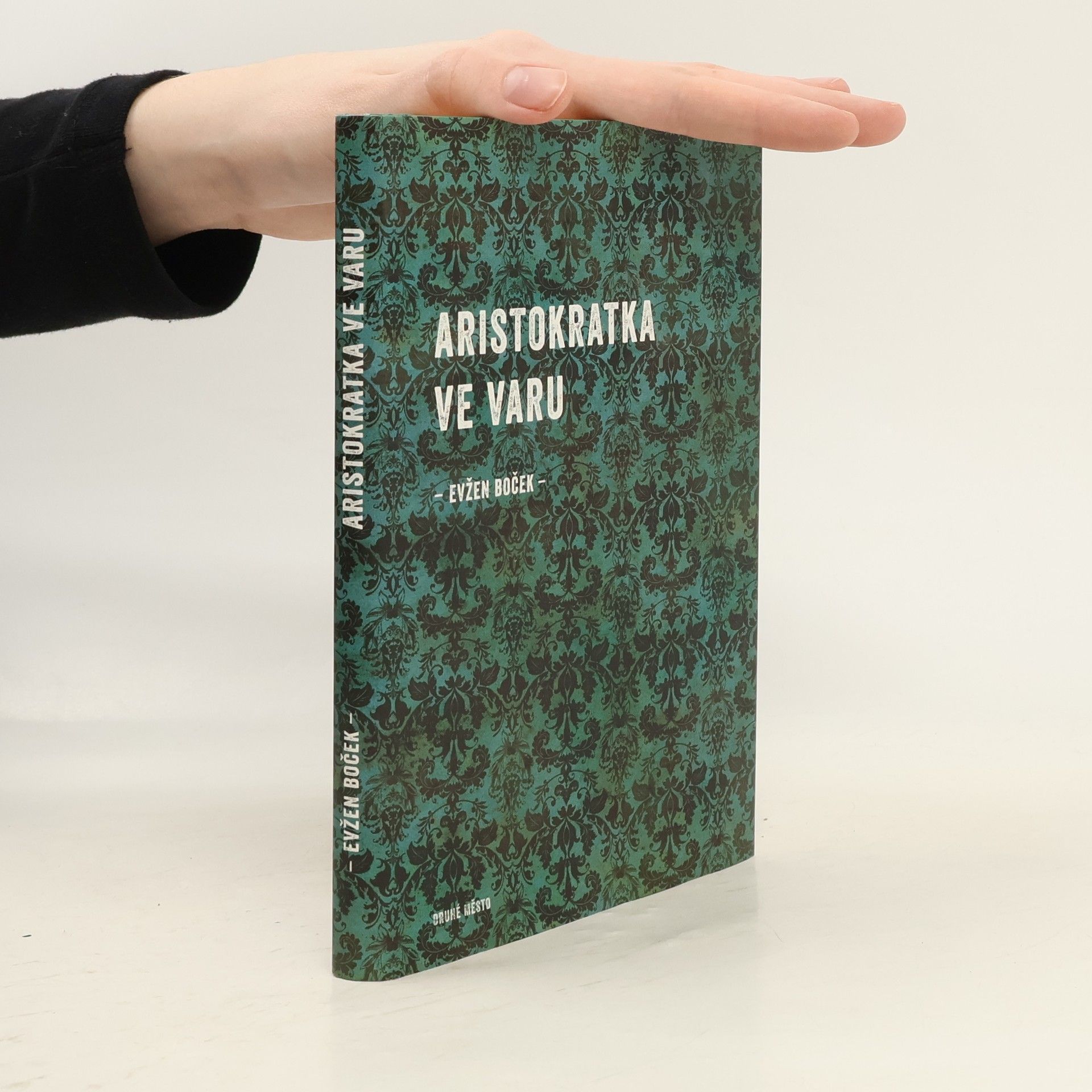 Evžen Boček Aristokratka ve varu